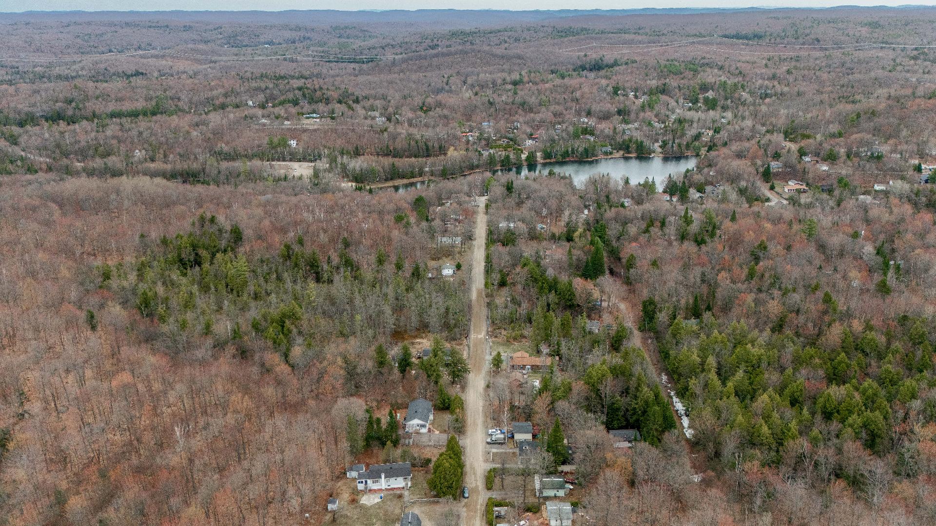 Overall View