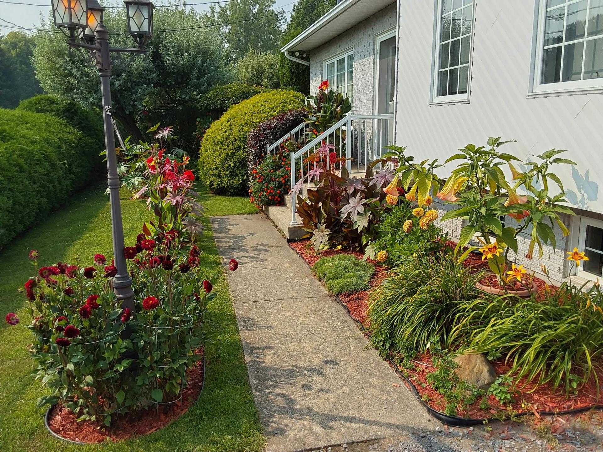 Photo fournie par le vendeur