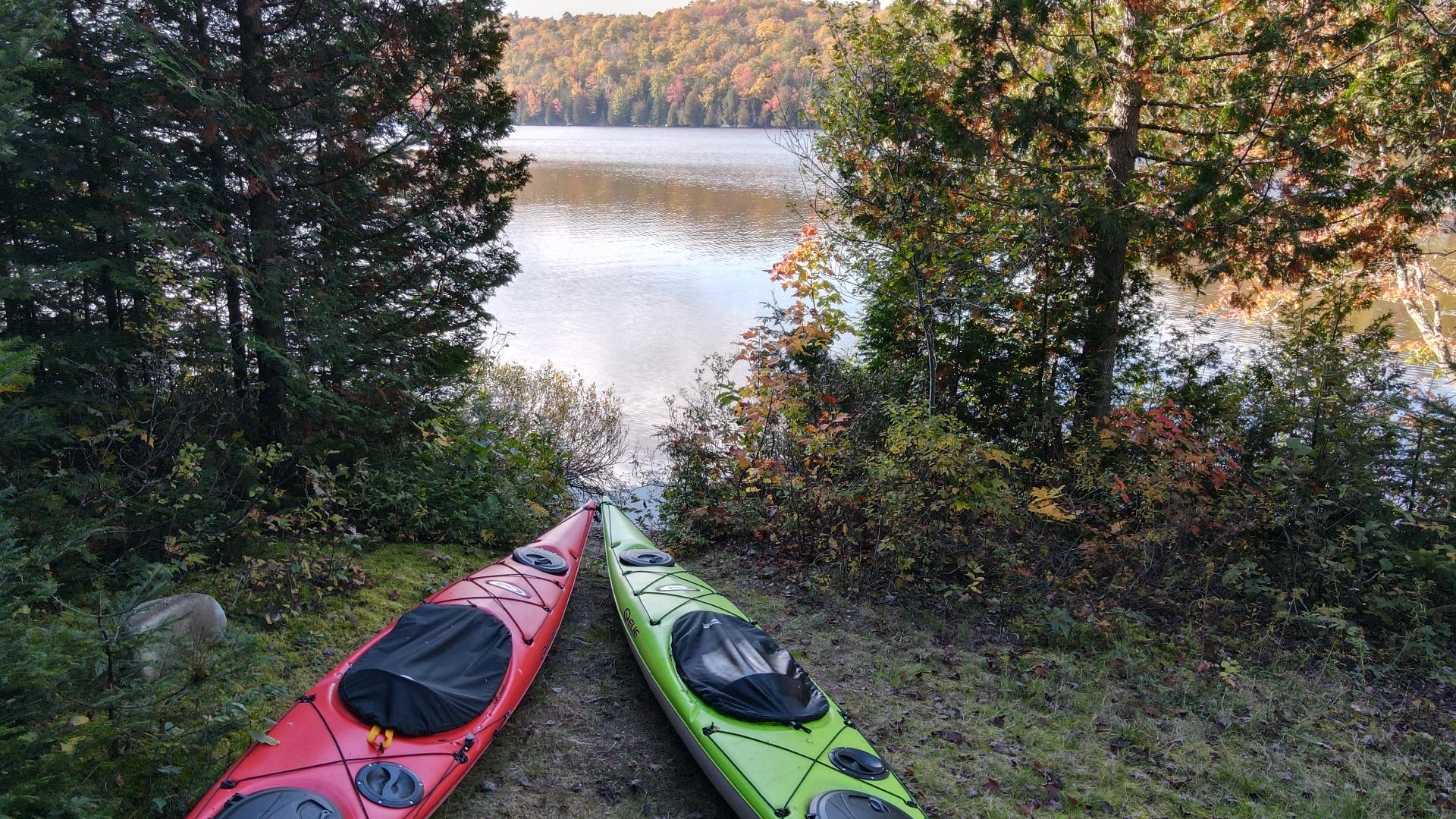 Bord de l'eau