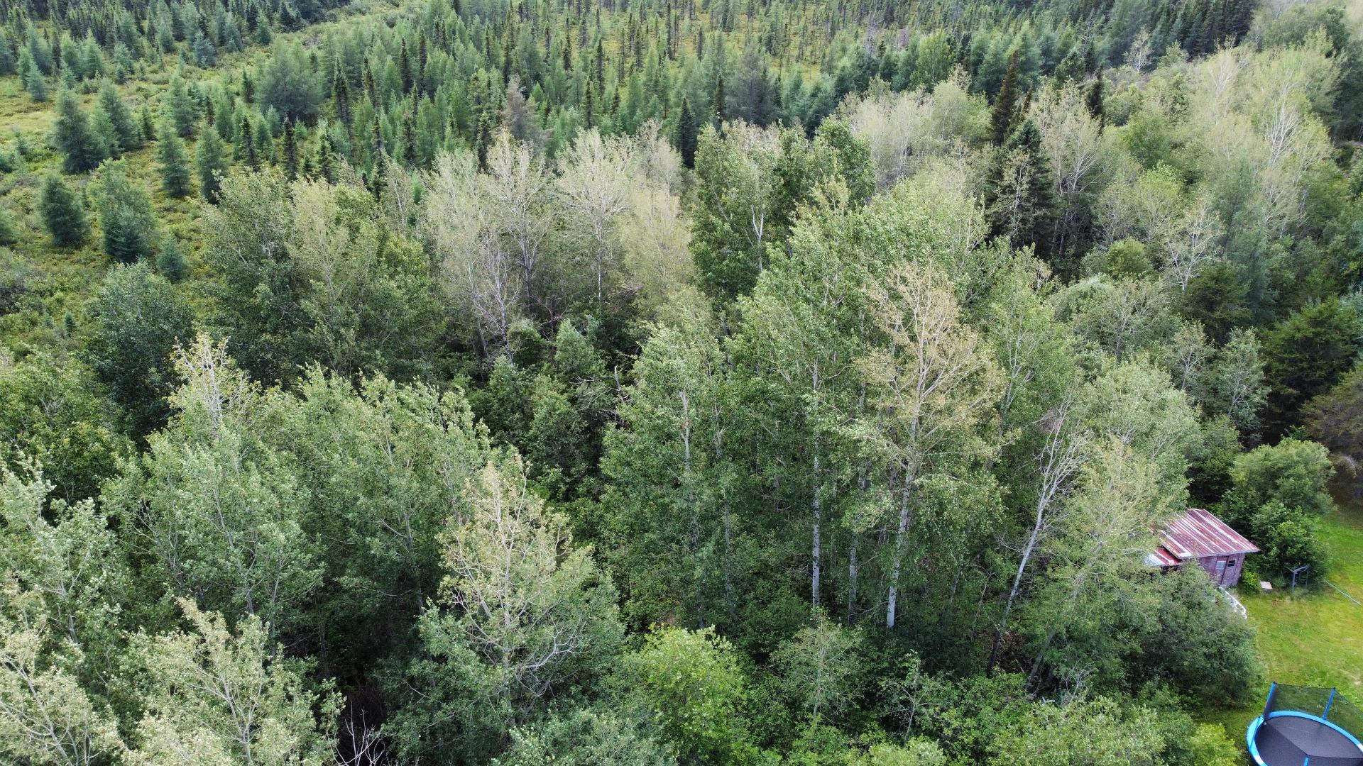 Aerial photo