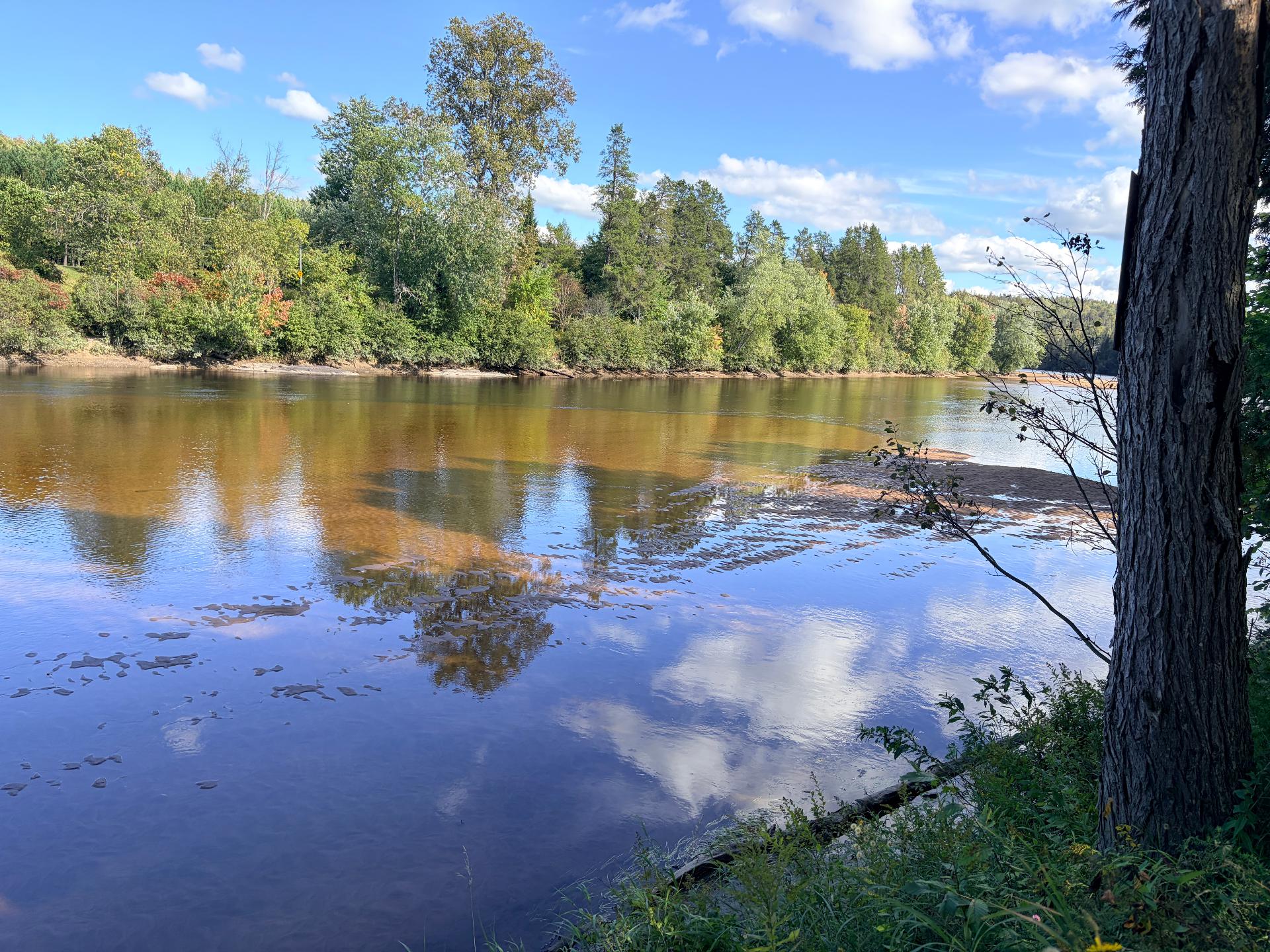 Water view