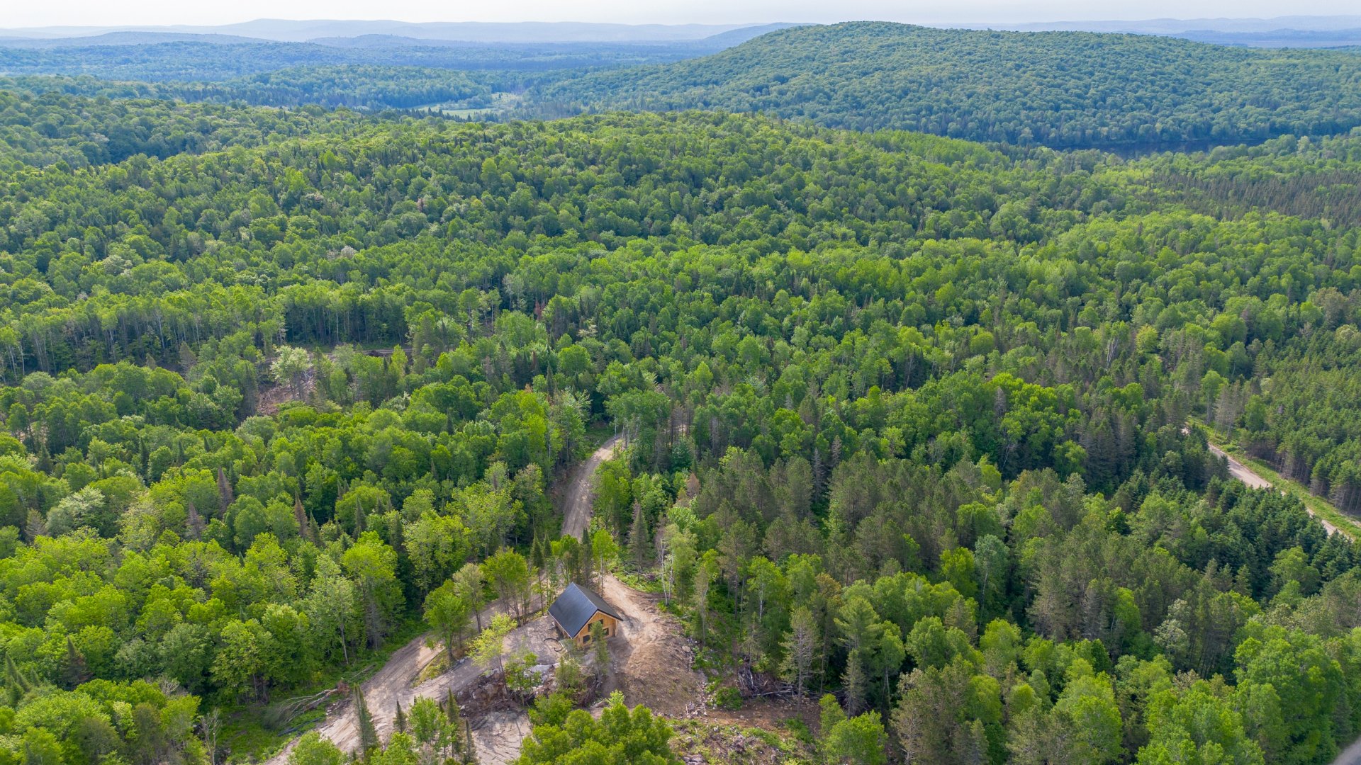 Aerial photo