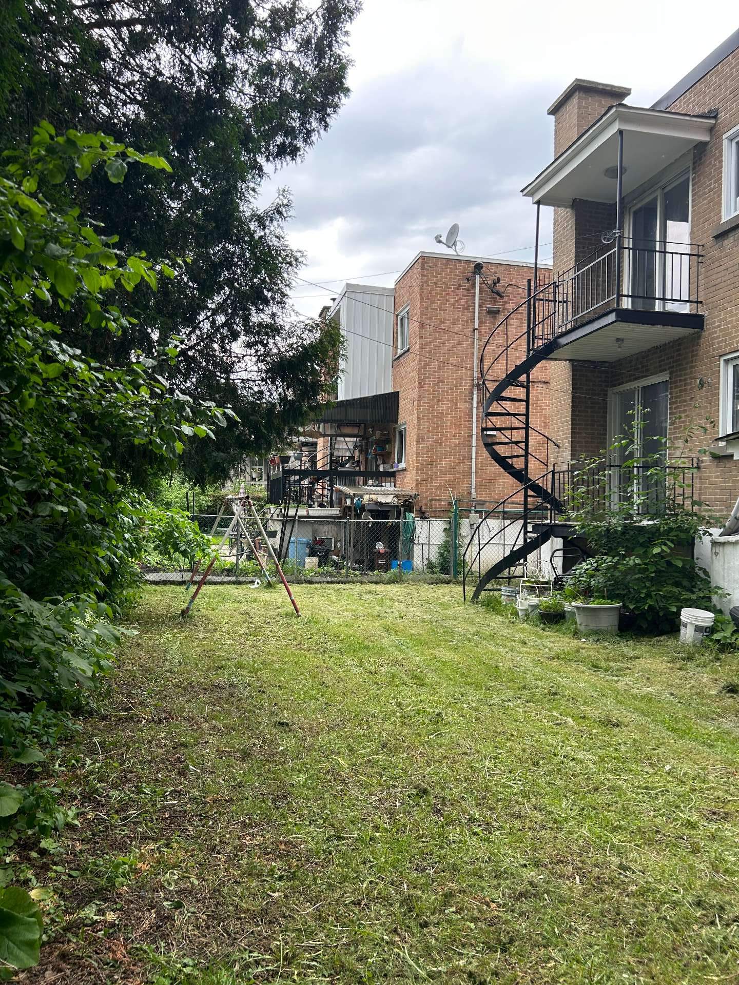 Backyard