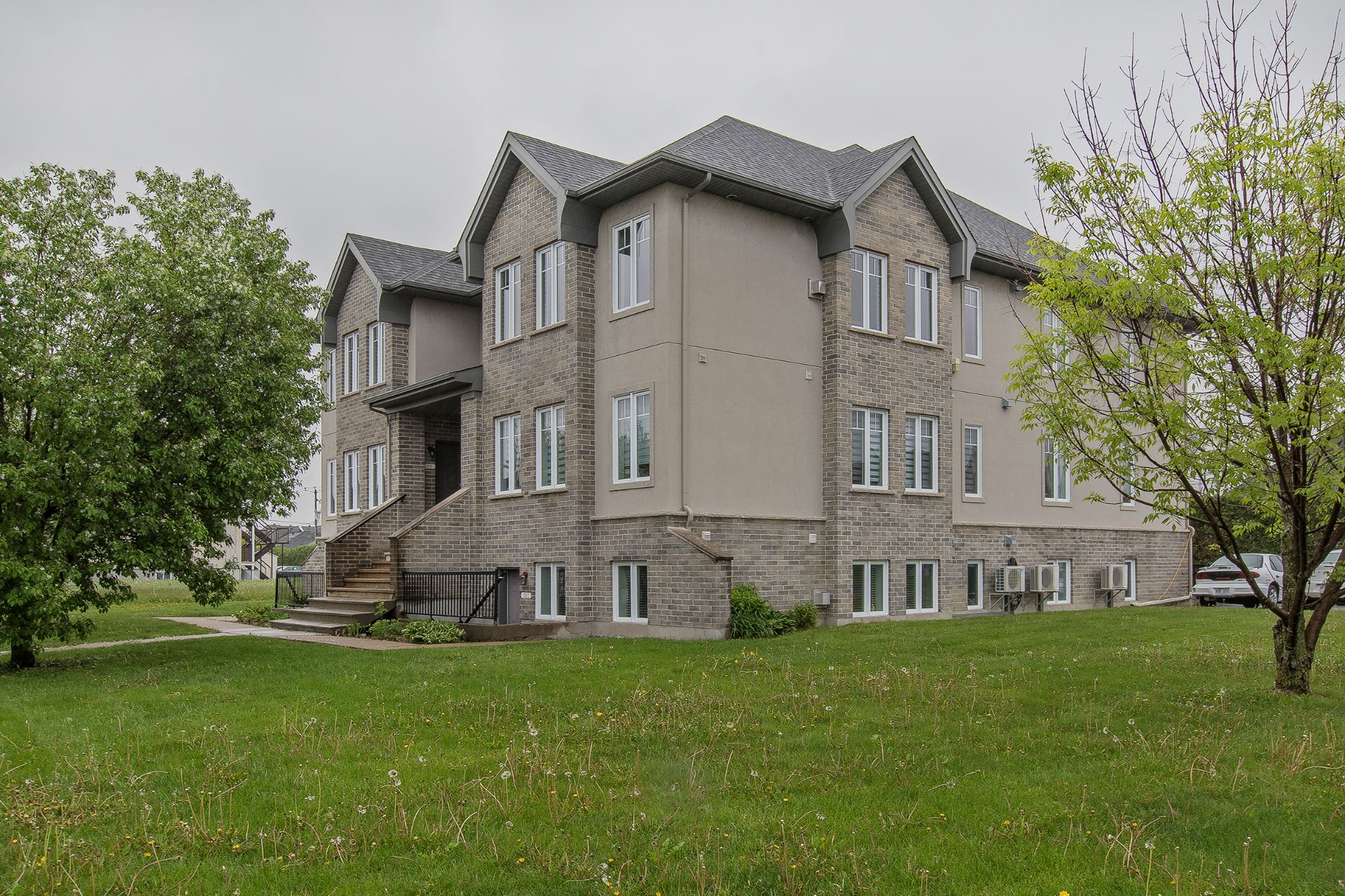 Overall View