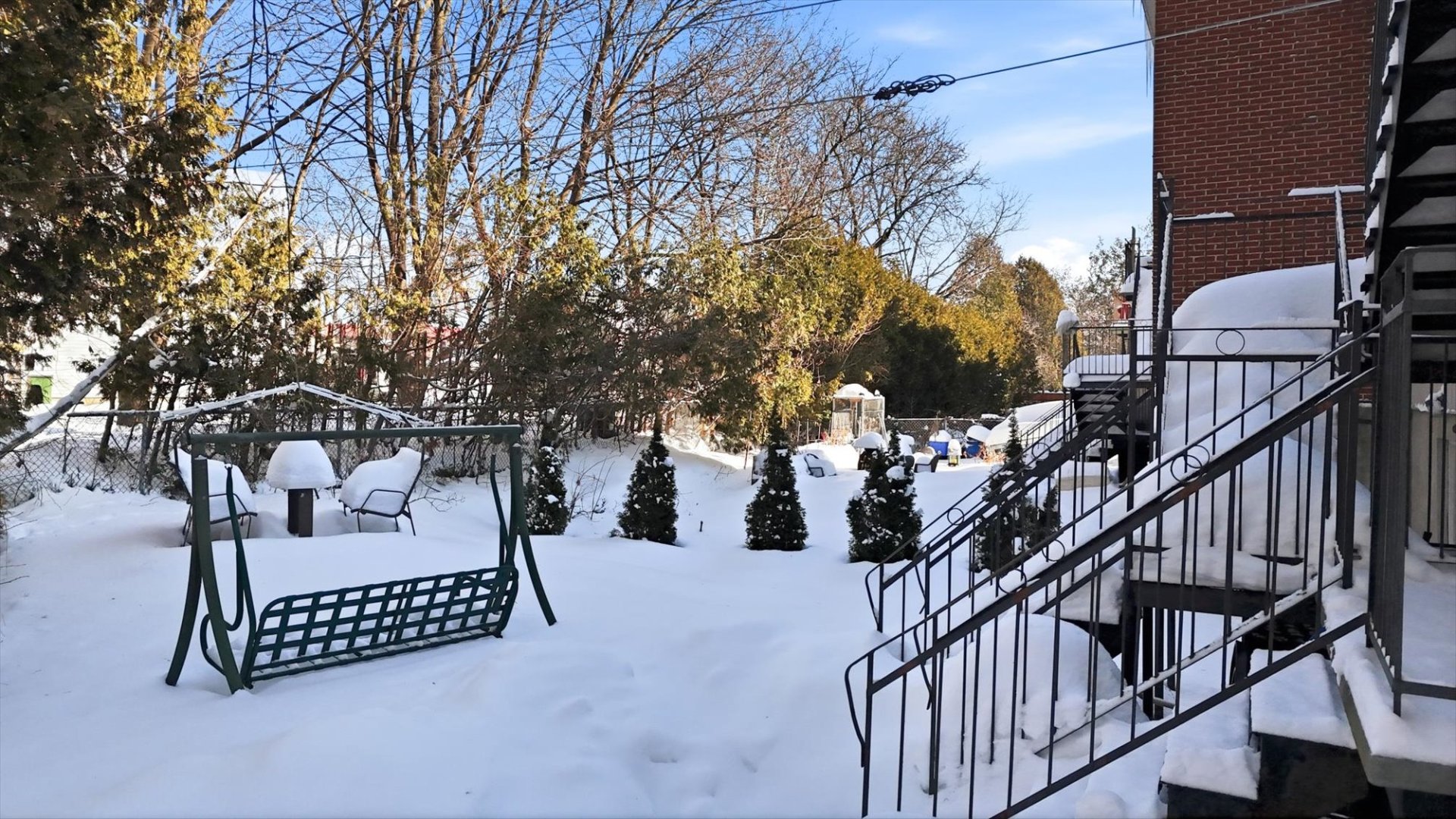 Backyard