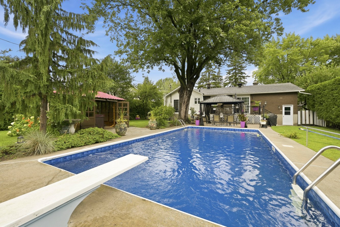 Beaux arbres matures sur le terrain