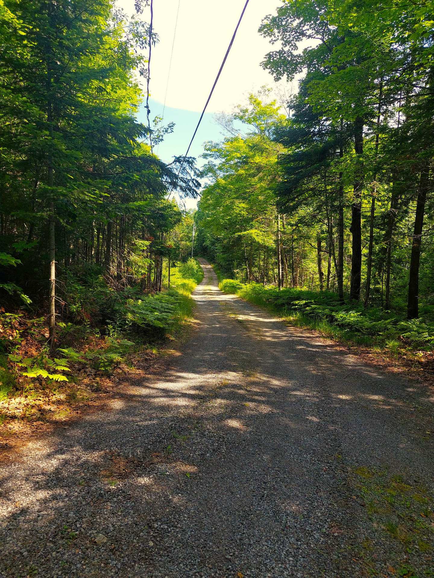 Chemin vers la propriété