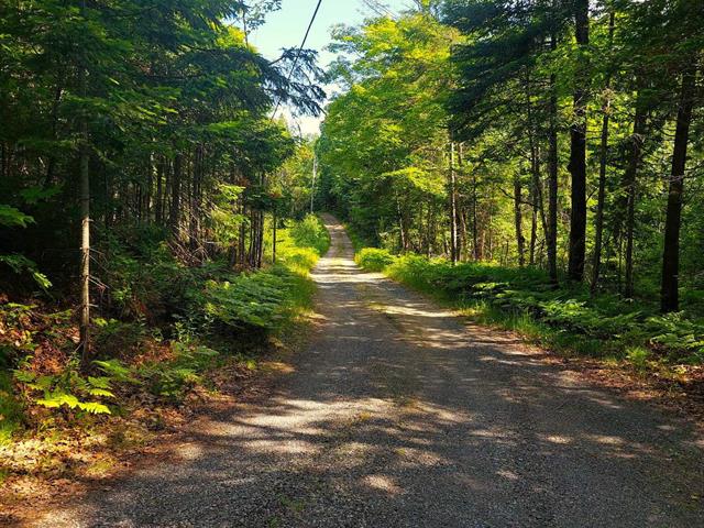 Chemin vers la propriété