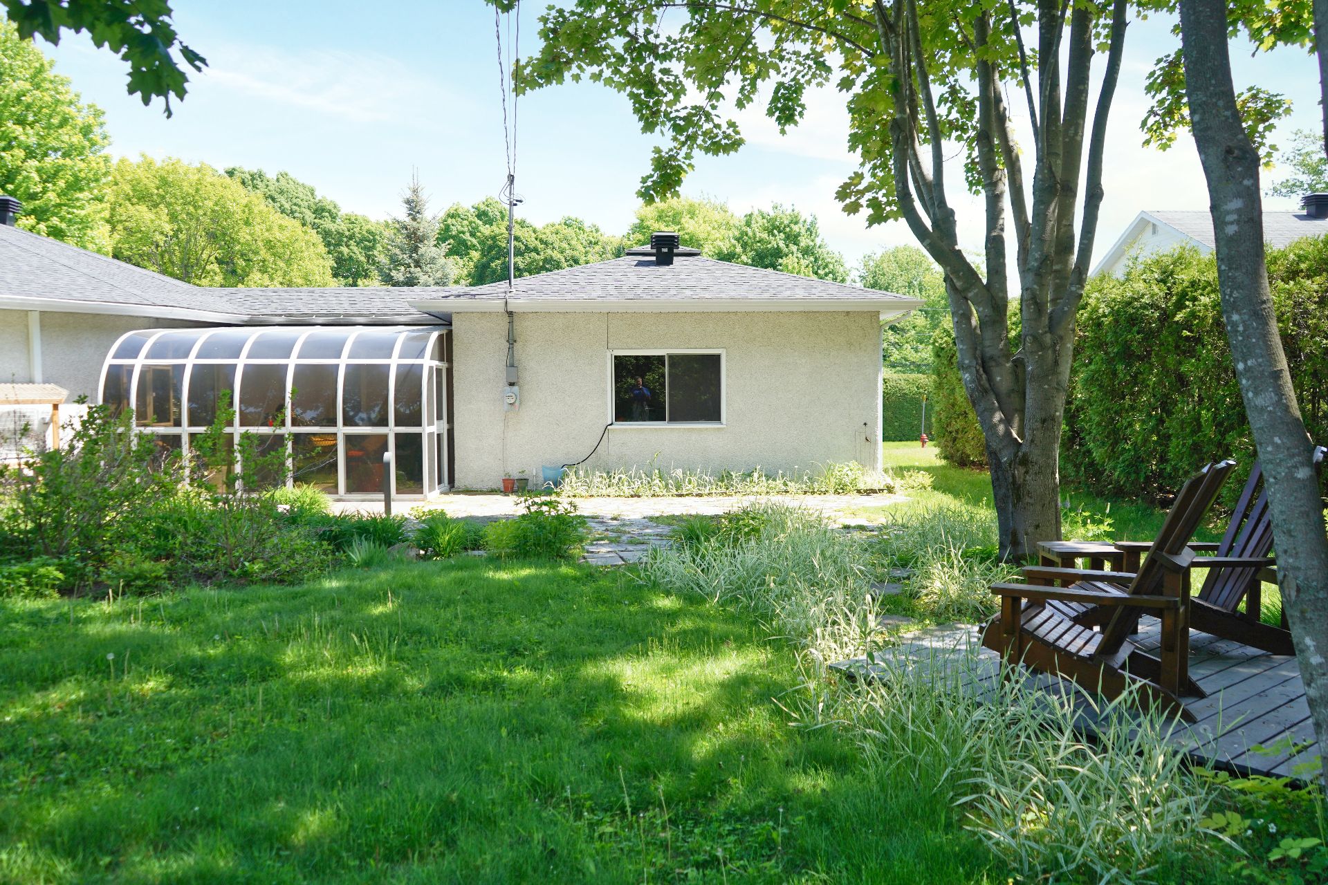 Backyard