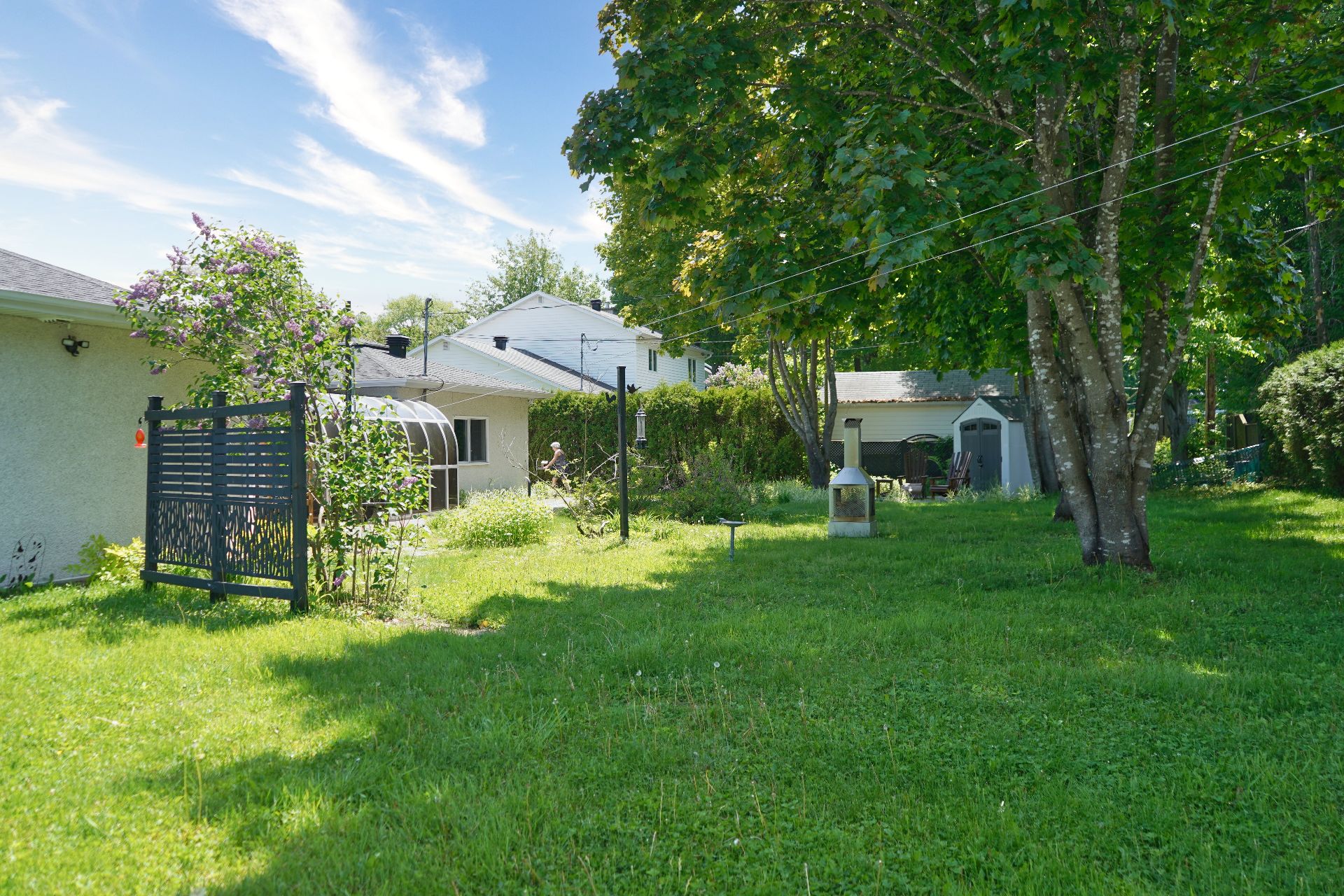 Backyard