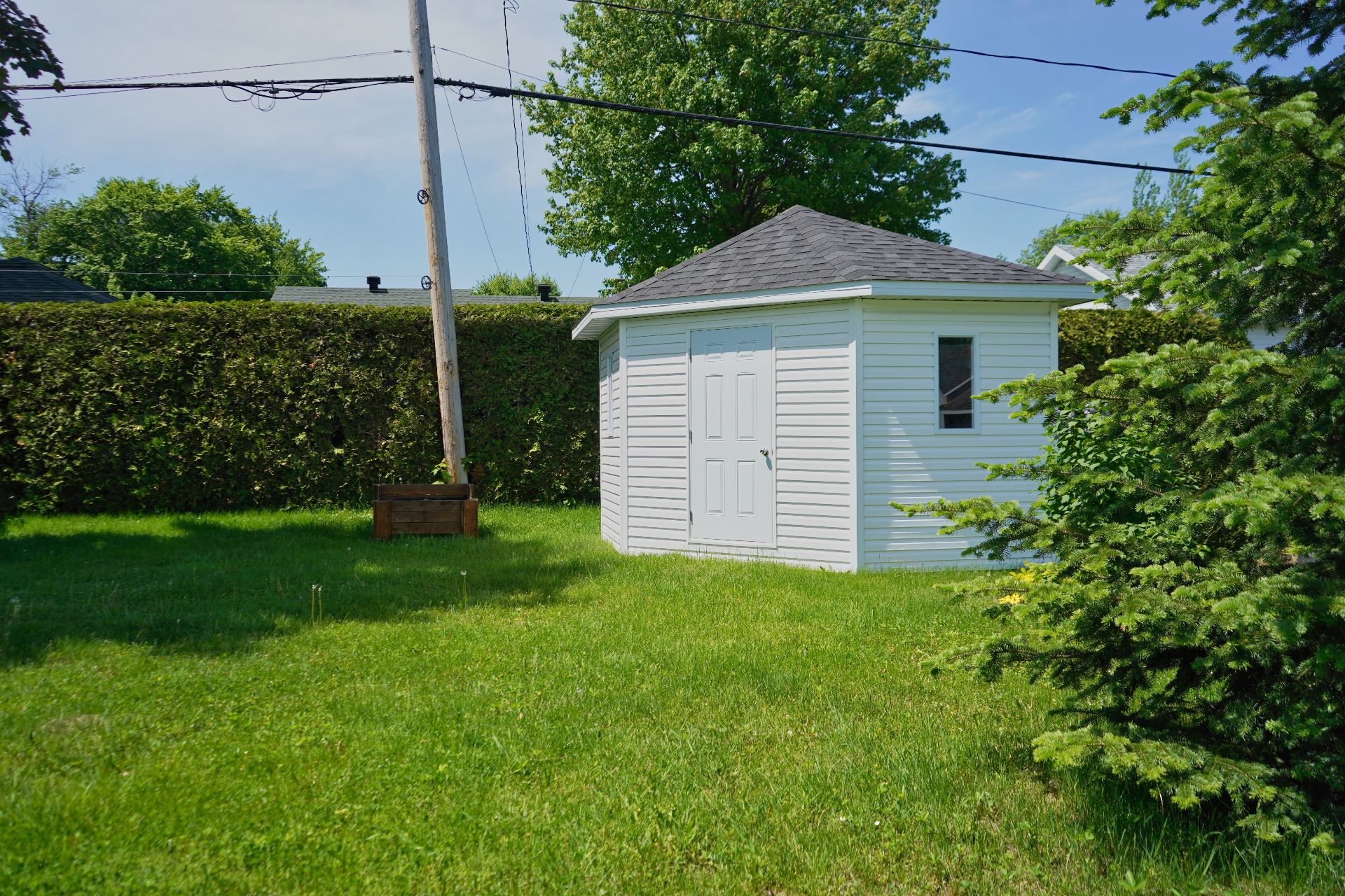 Shed