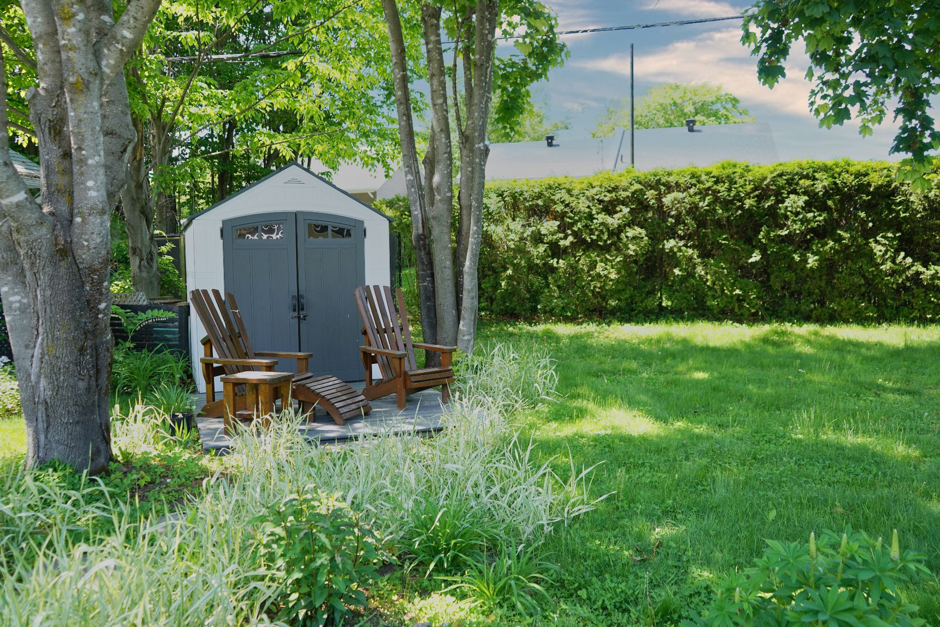 Backyard