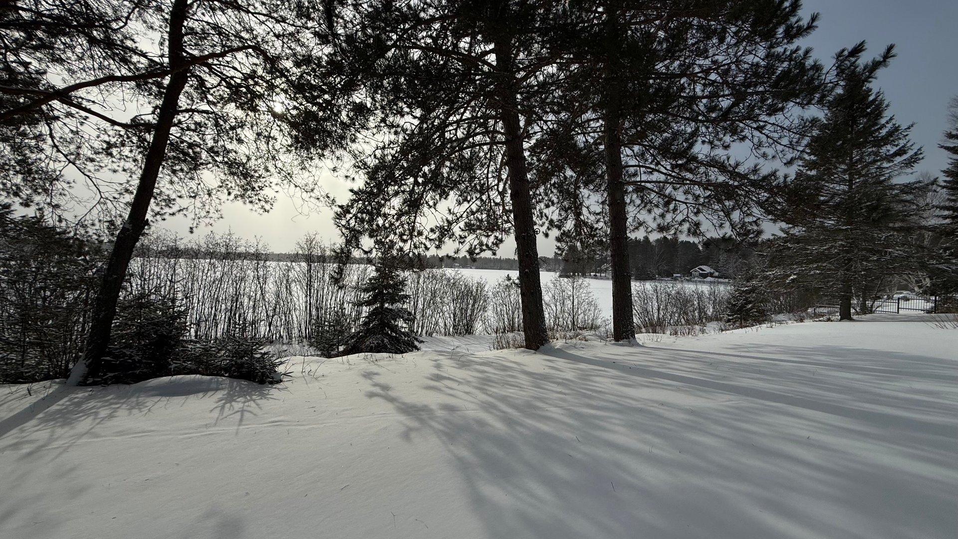 Aprè s une belle bordée de neige