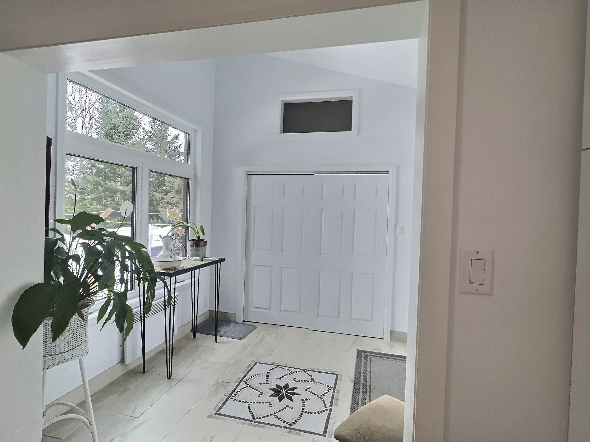 Hall d'entrée/Vestibule