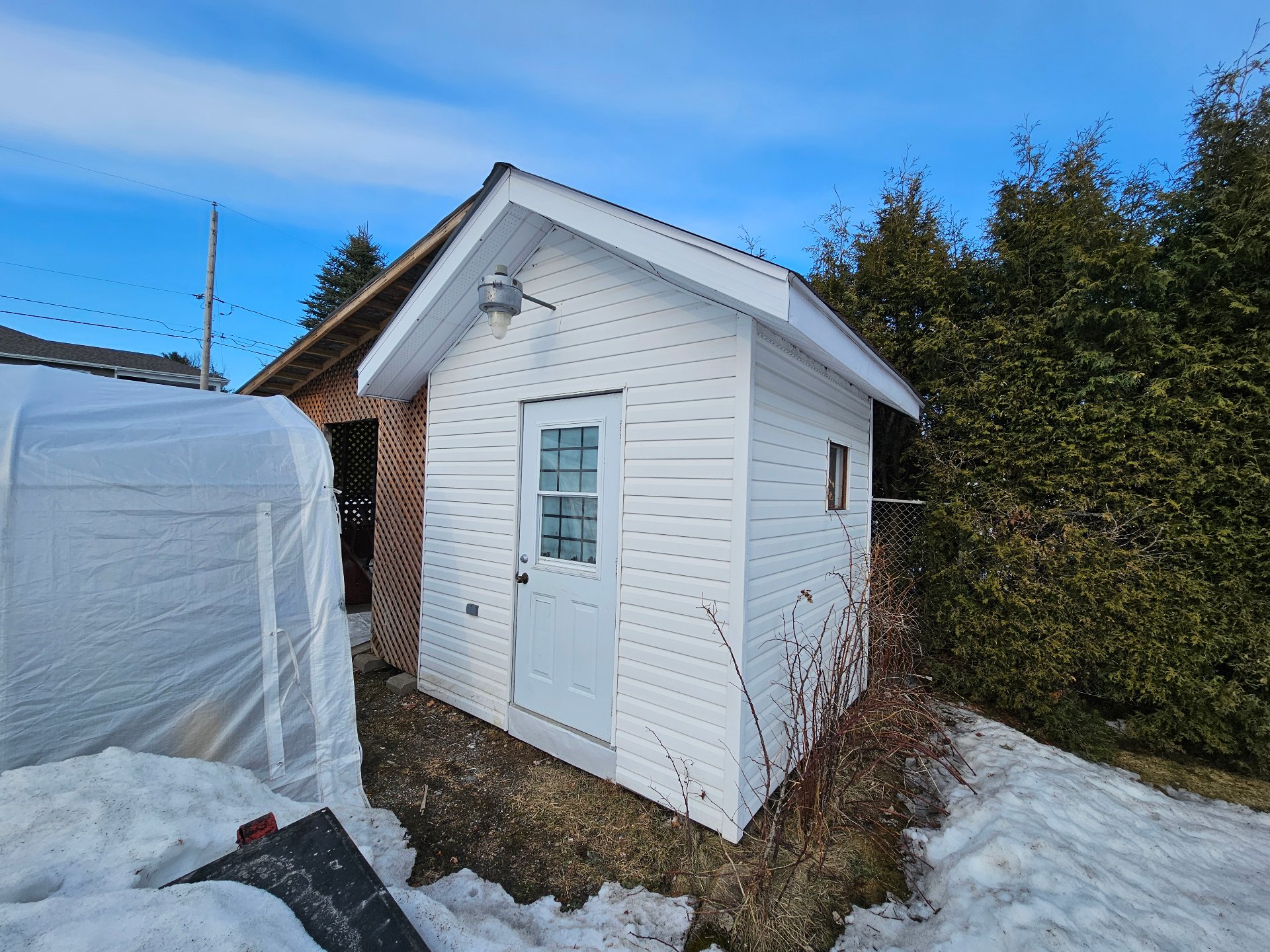 Shed