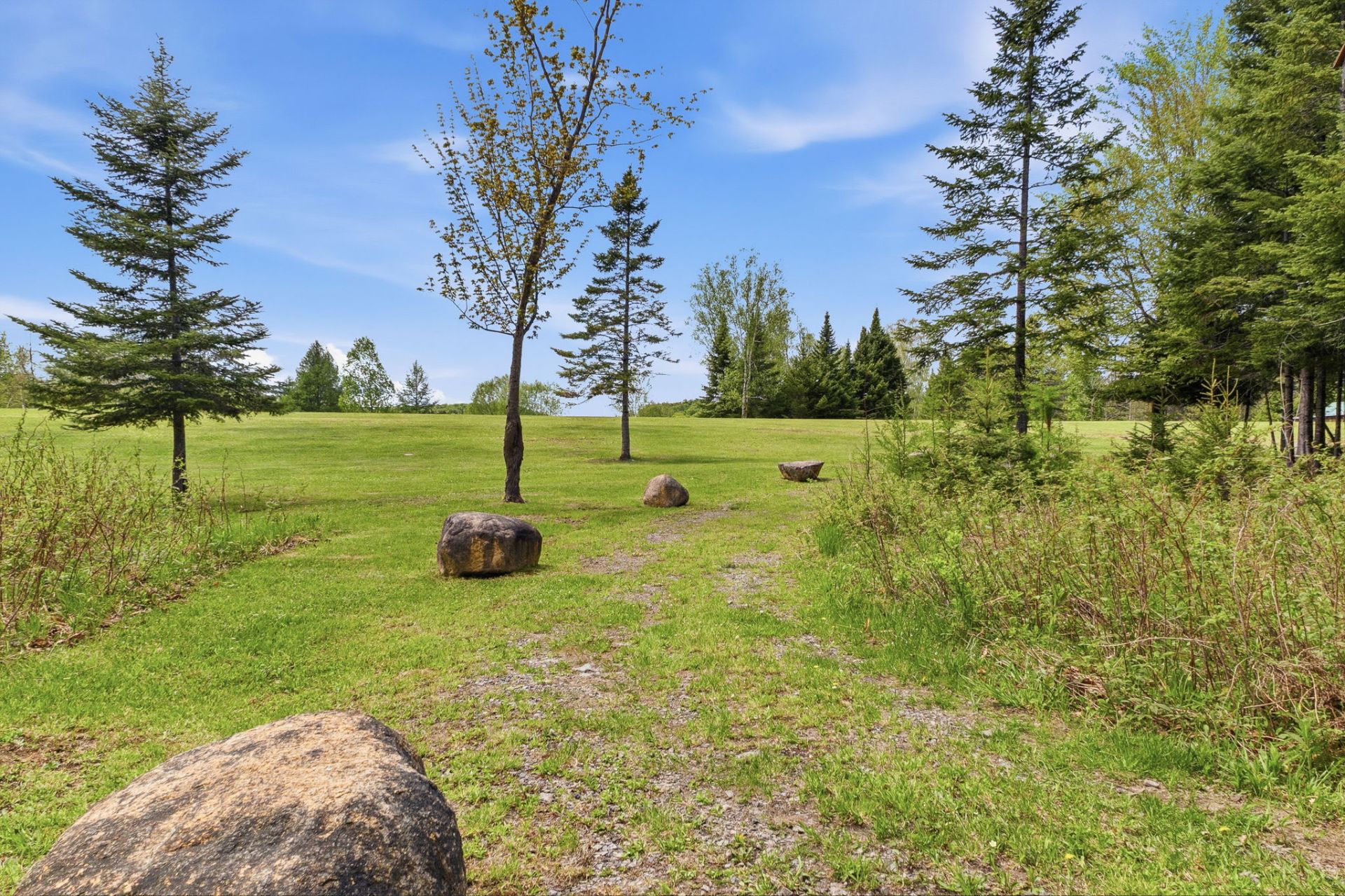 Land/Lot