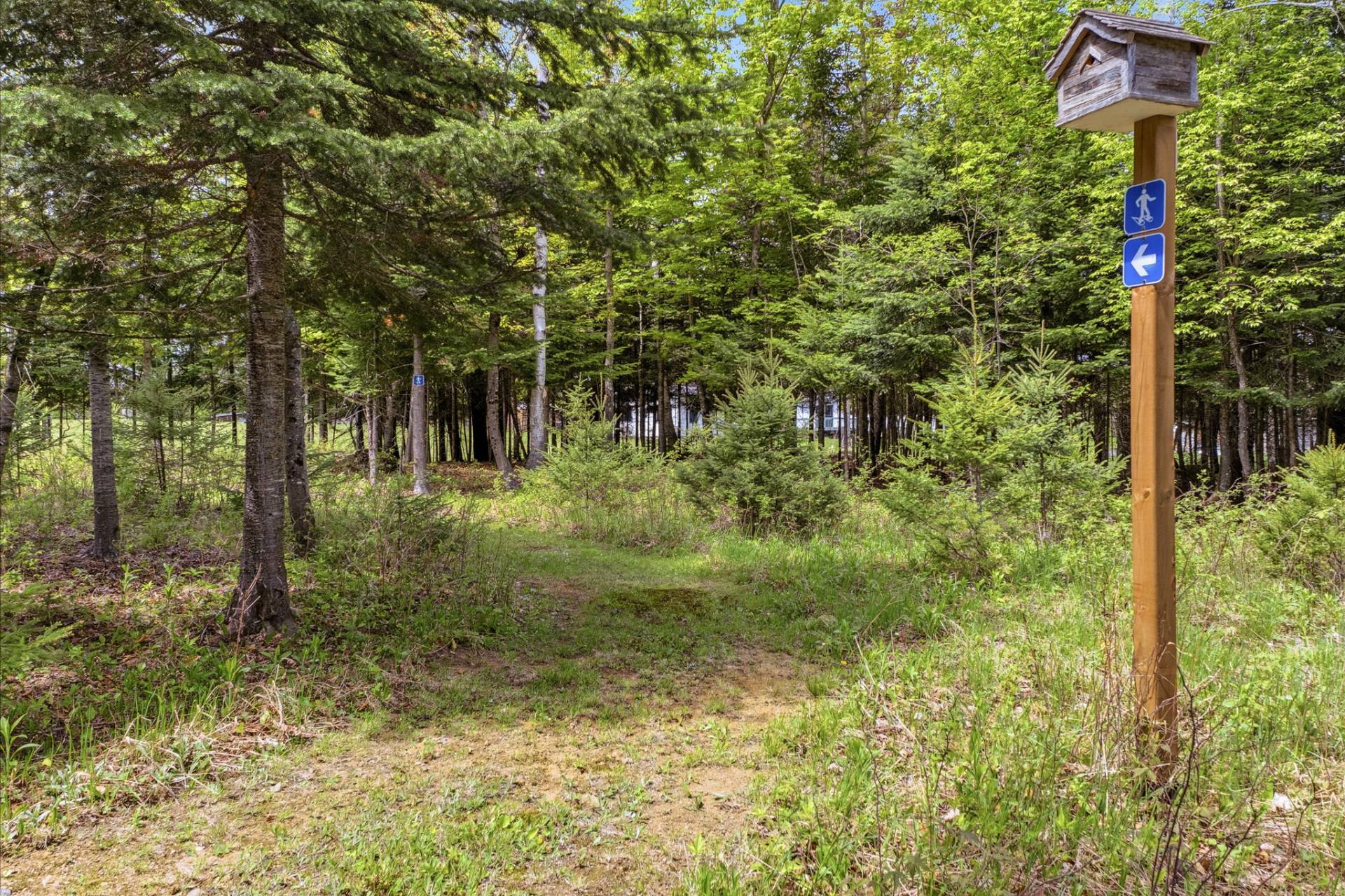 Land/Lot