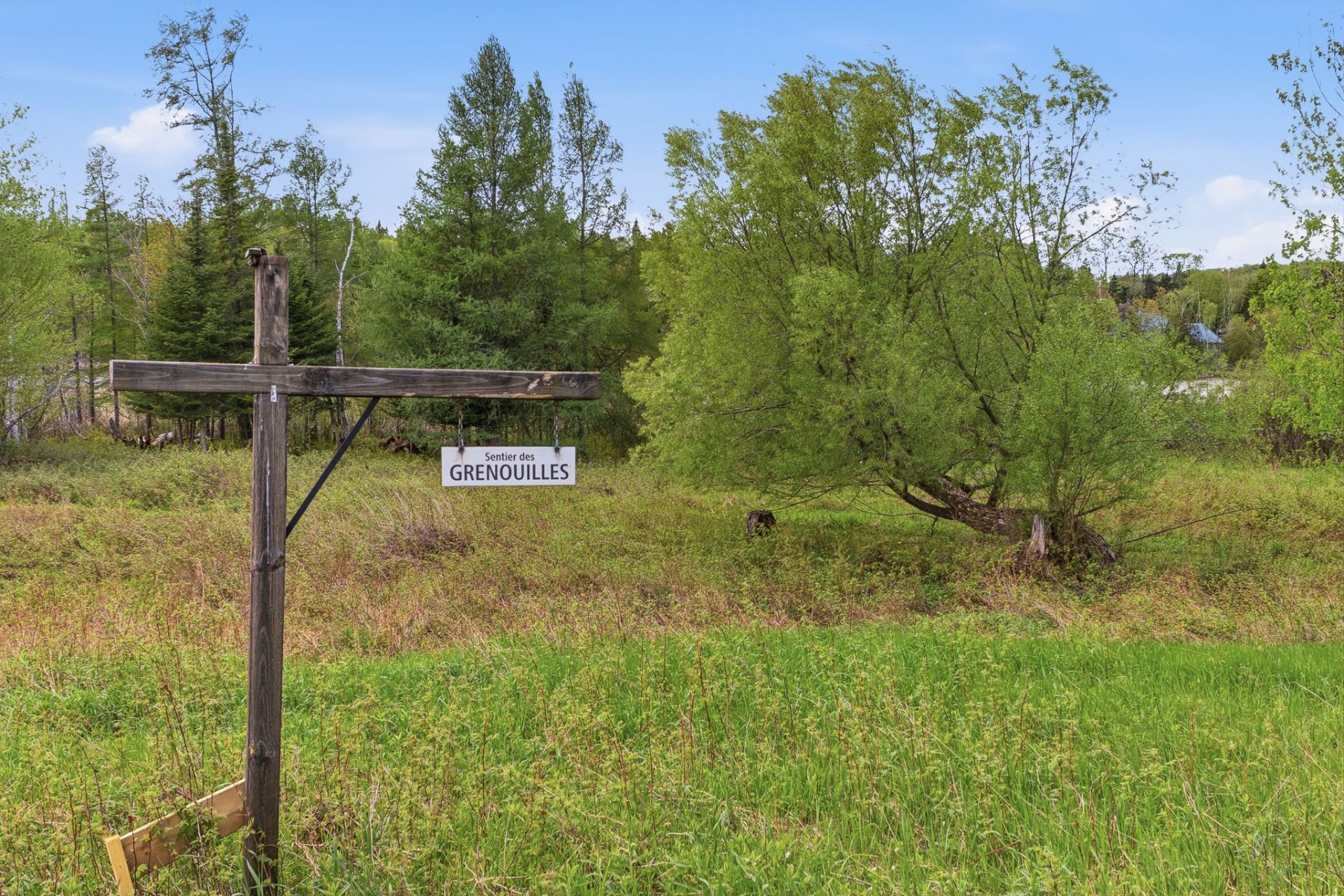 Land/Lot