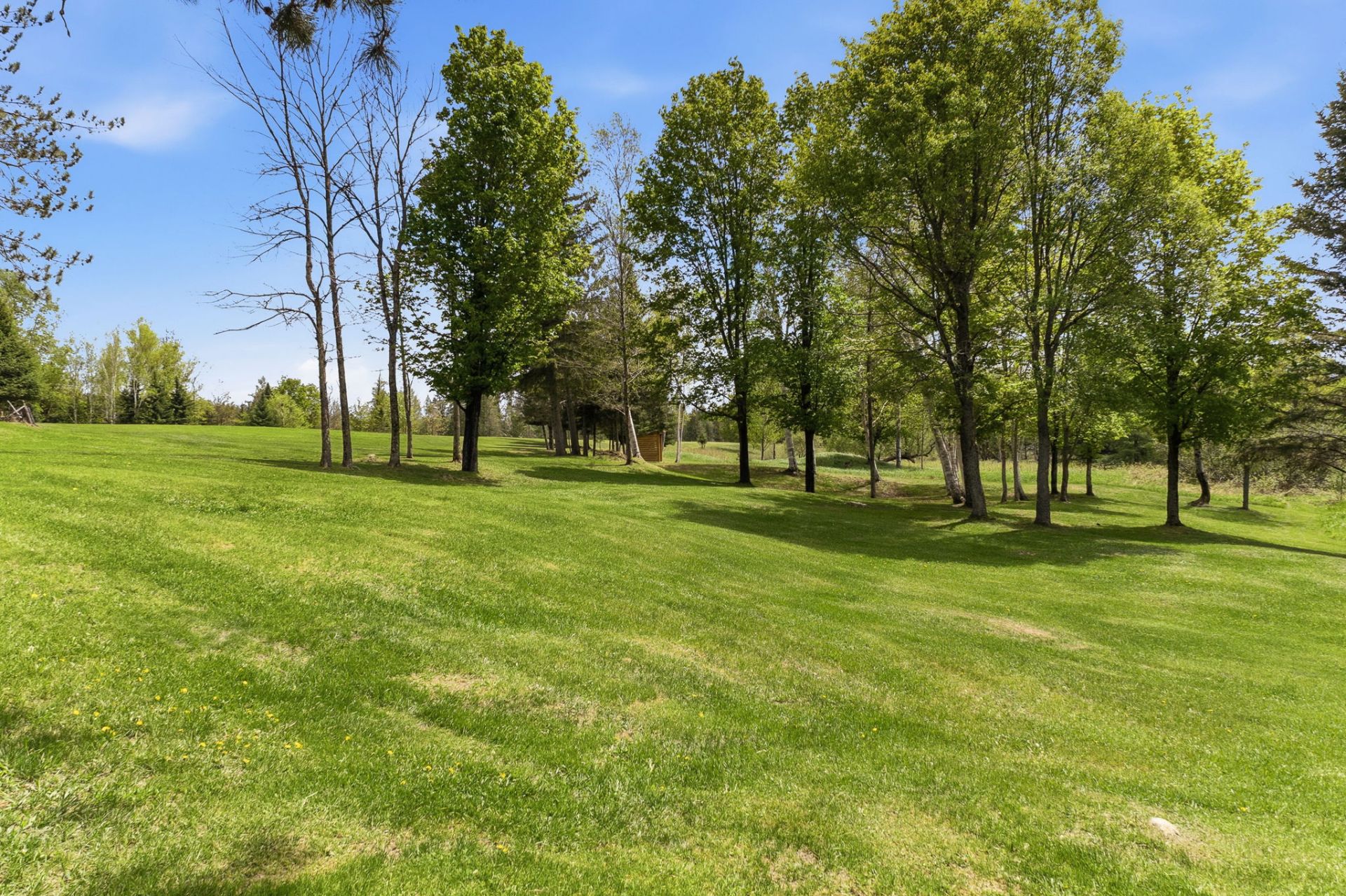 Land/Lot