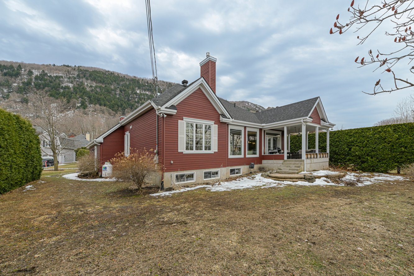 Cour arrière intime bordée de haies