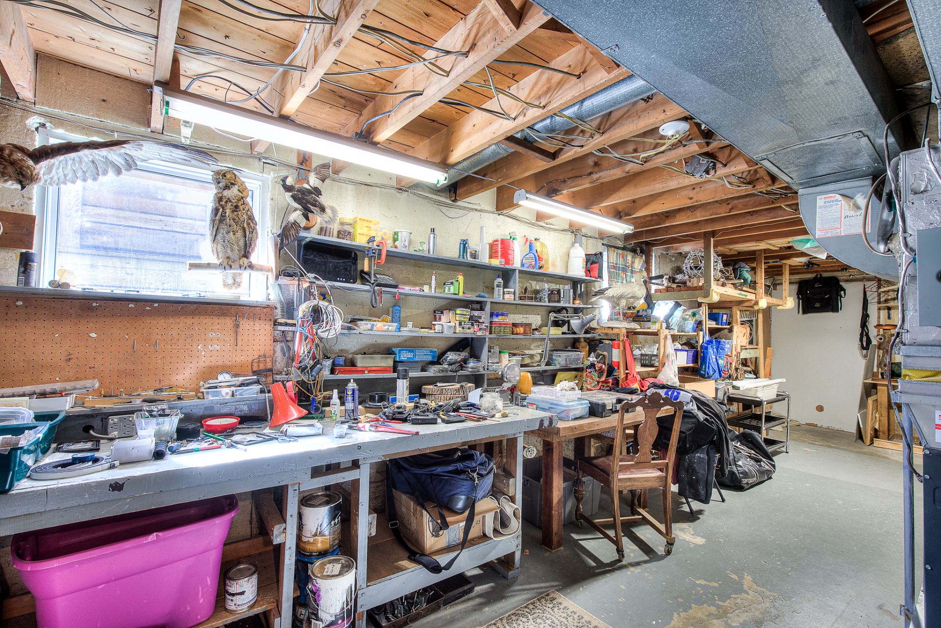 Workshop