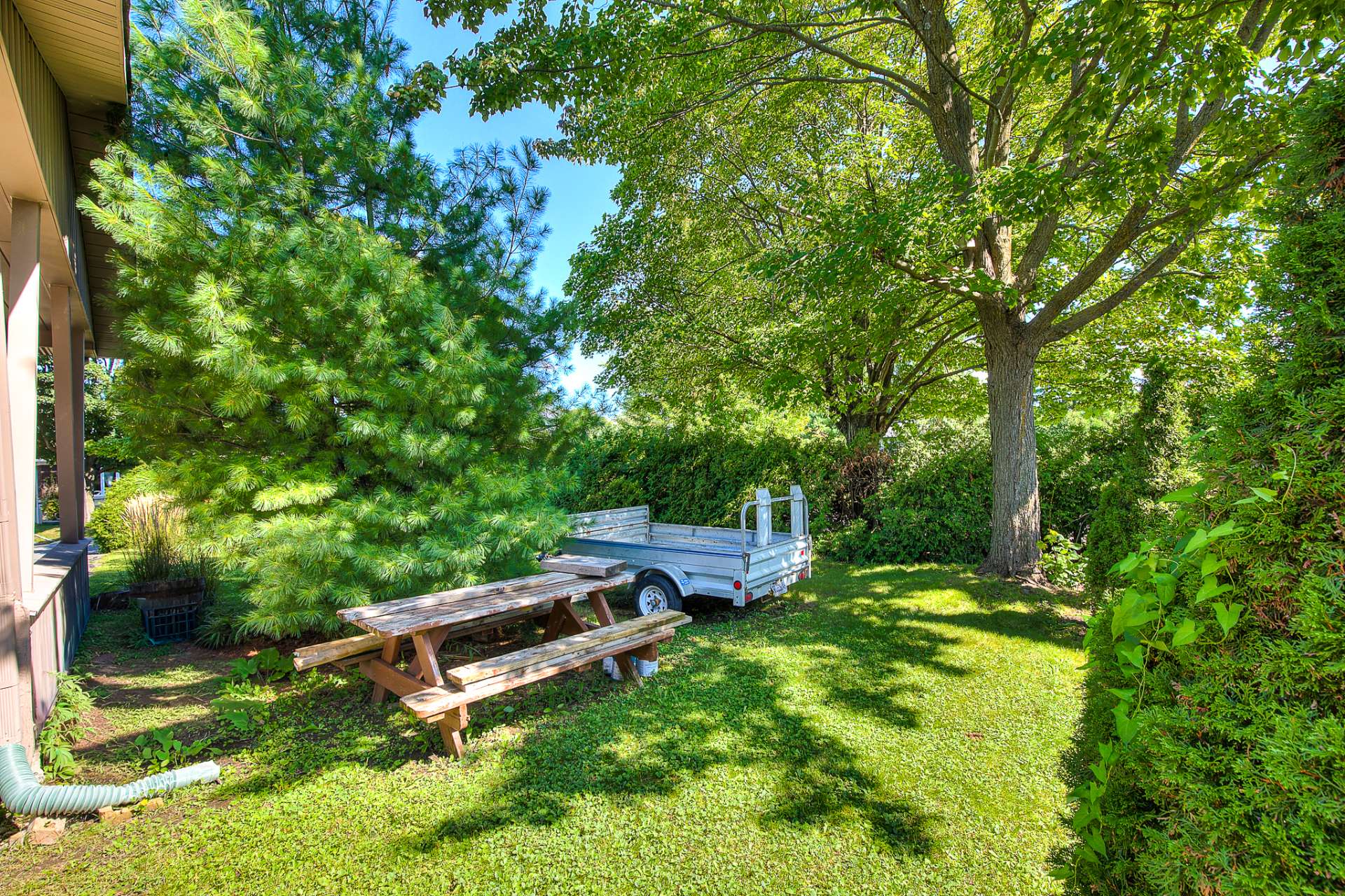 Backyard