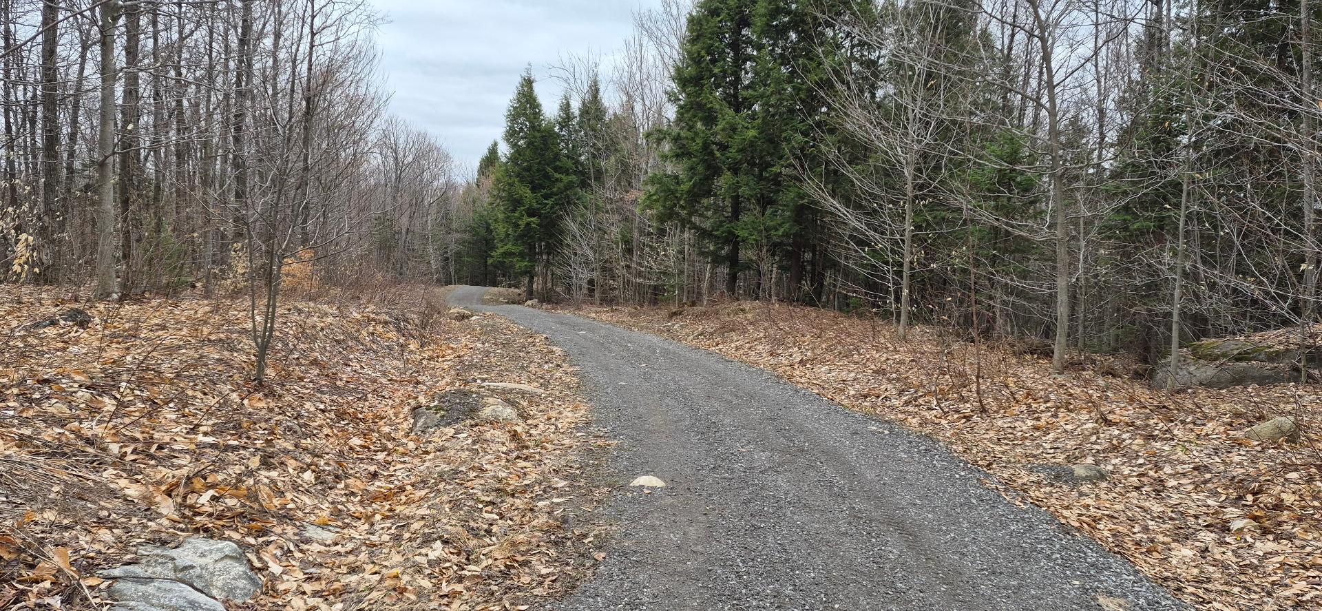 Land/Lot