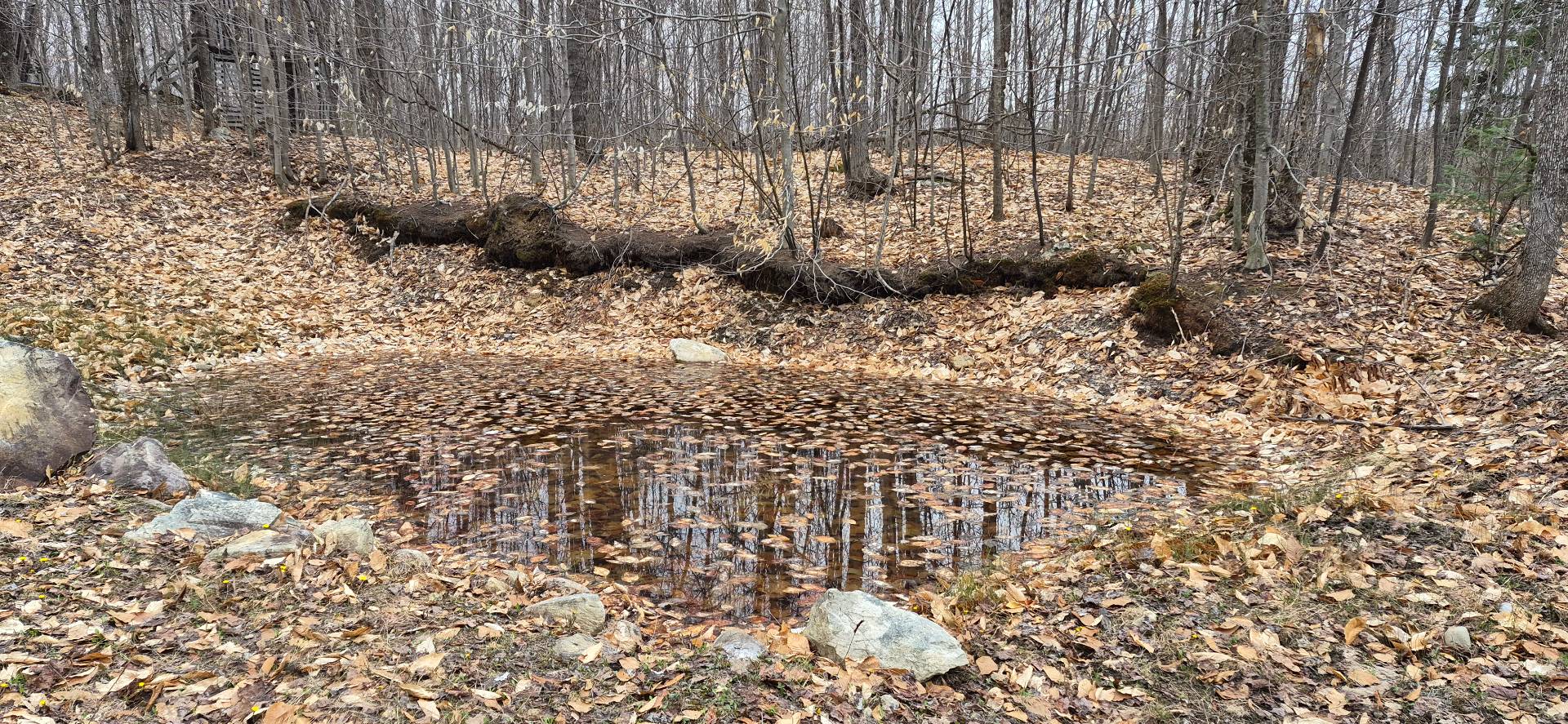 Land/Lot