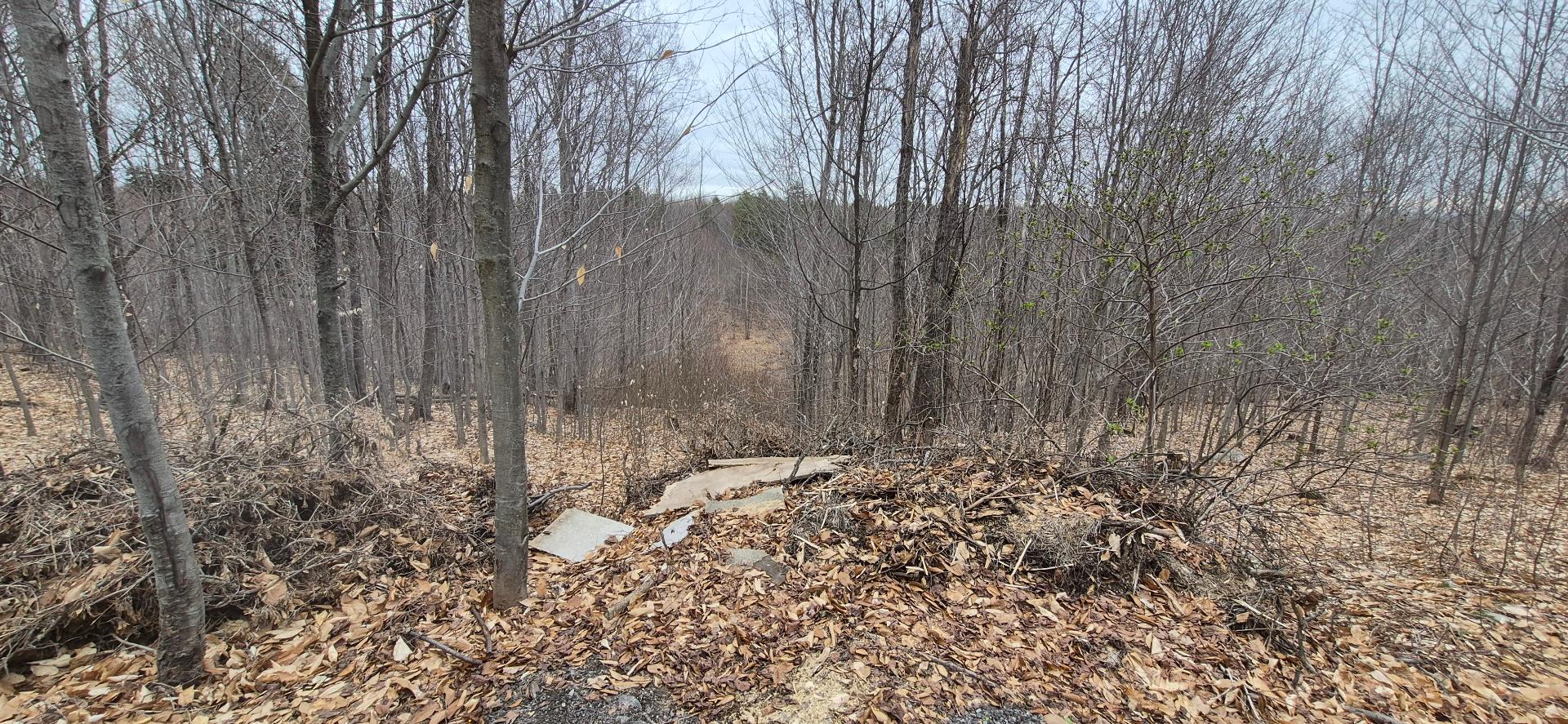 Land/Lot