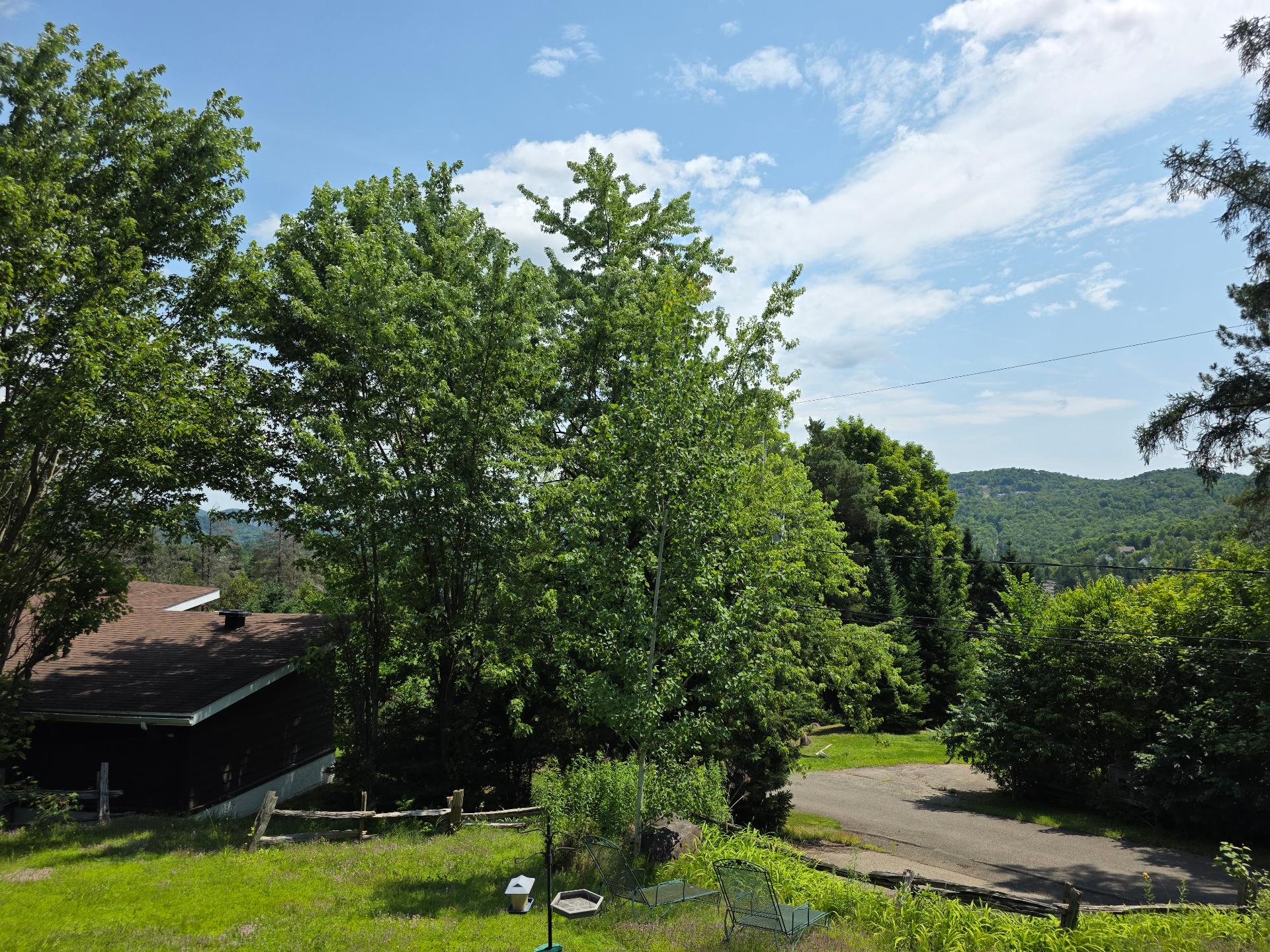 View