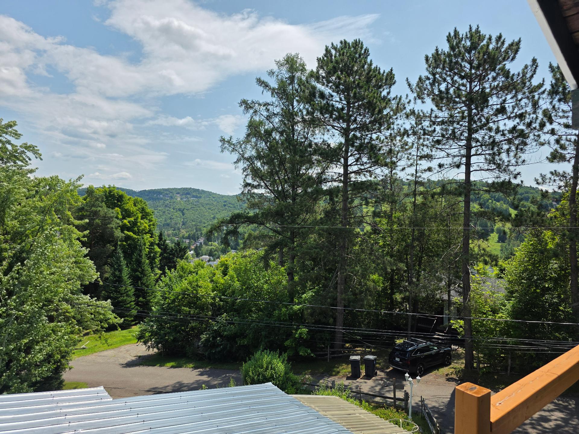 View