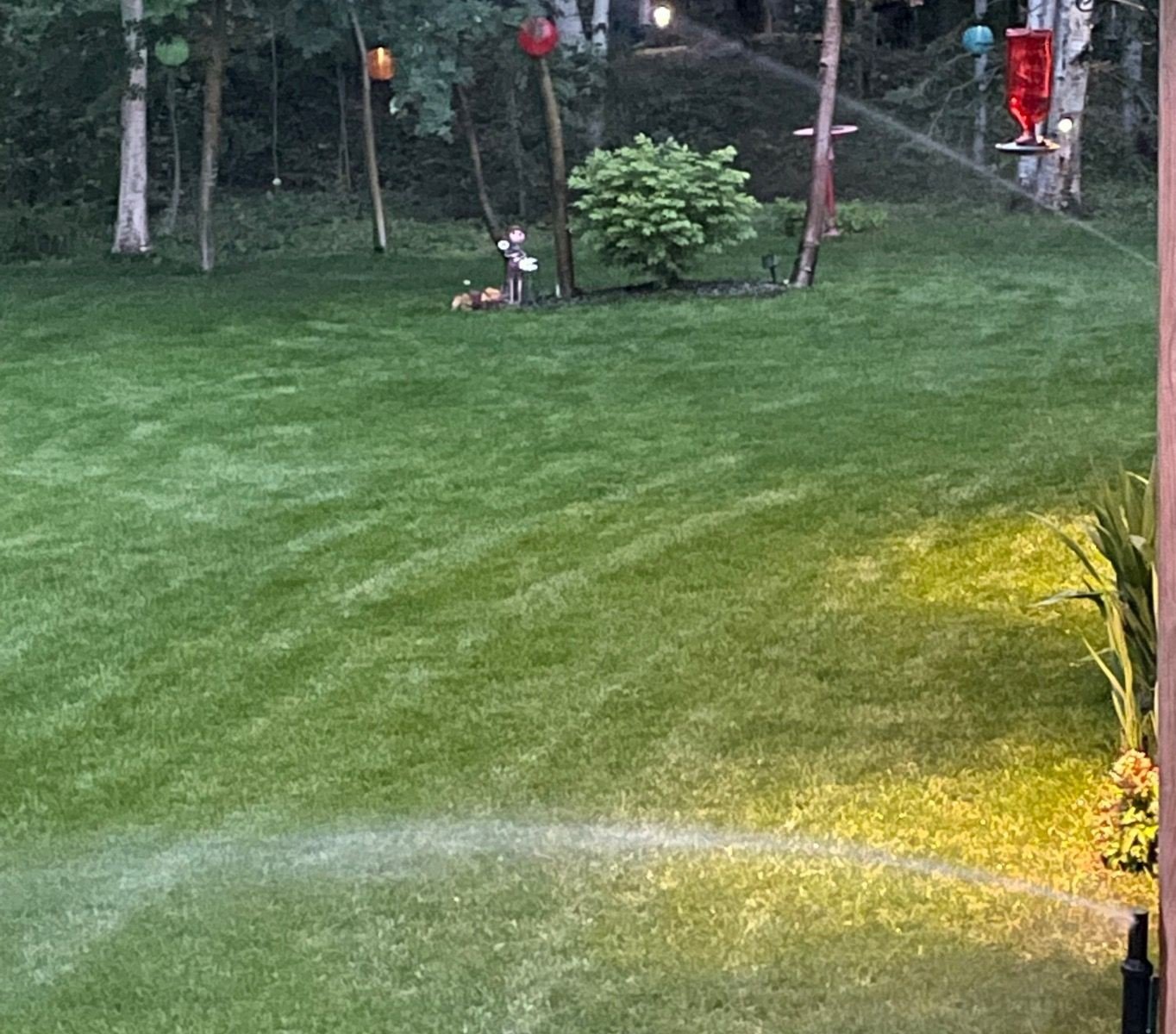 Munie d'un système d'arrosage automatique