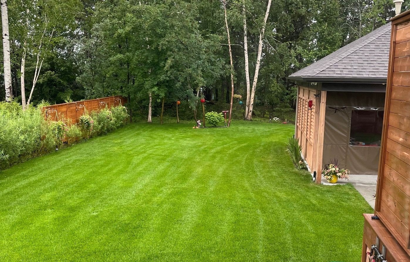 Pelouse impeccablement entretenue