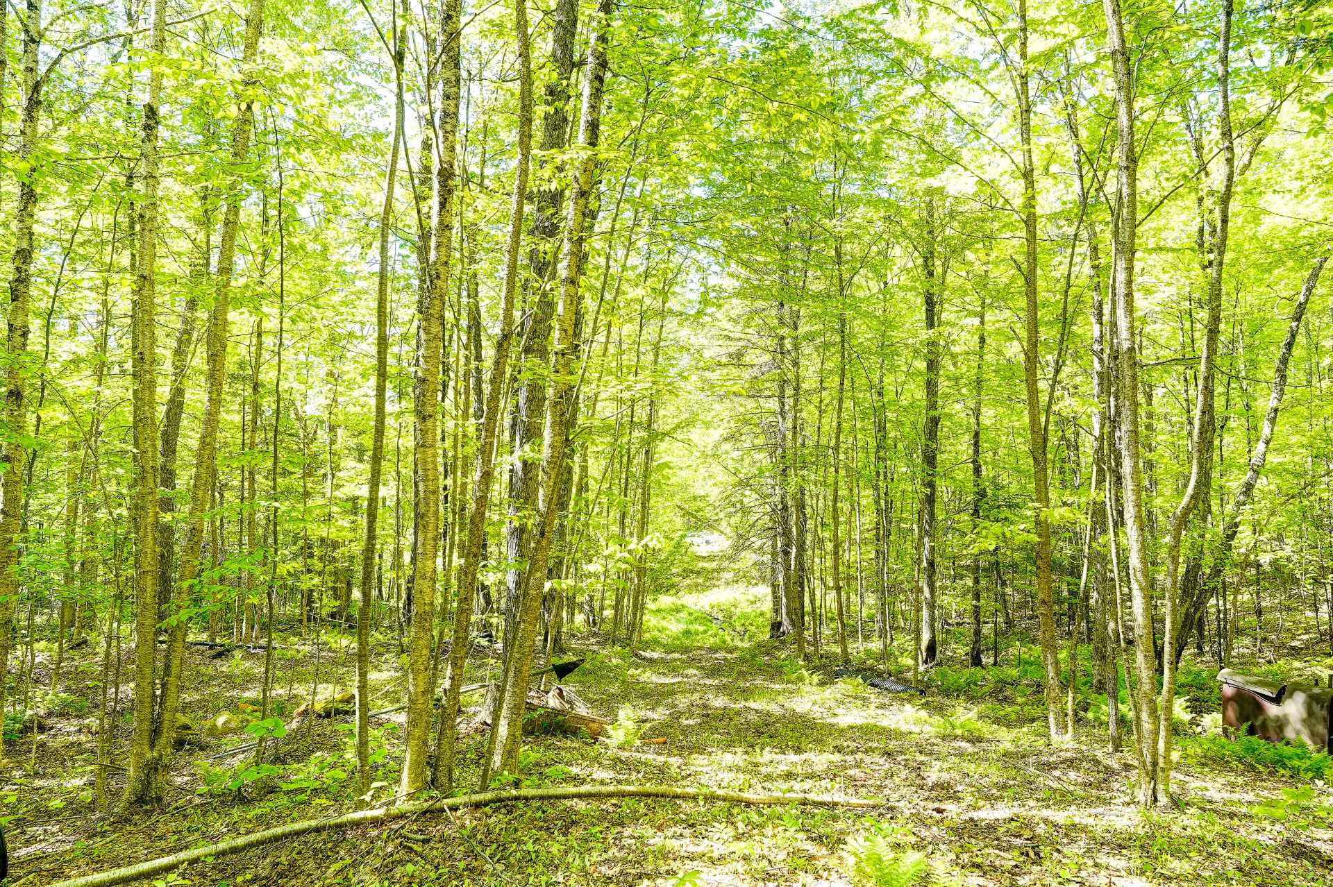 Terre/Terrain