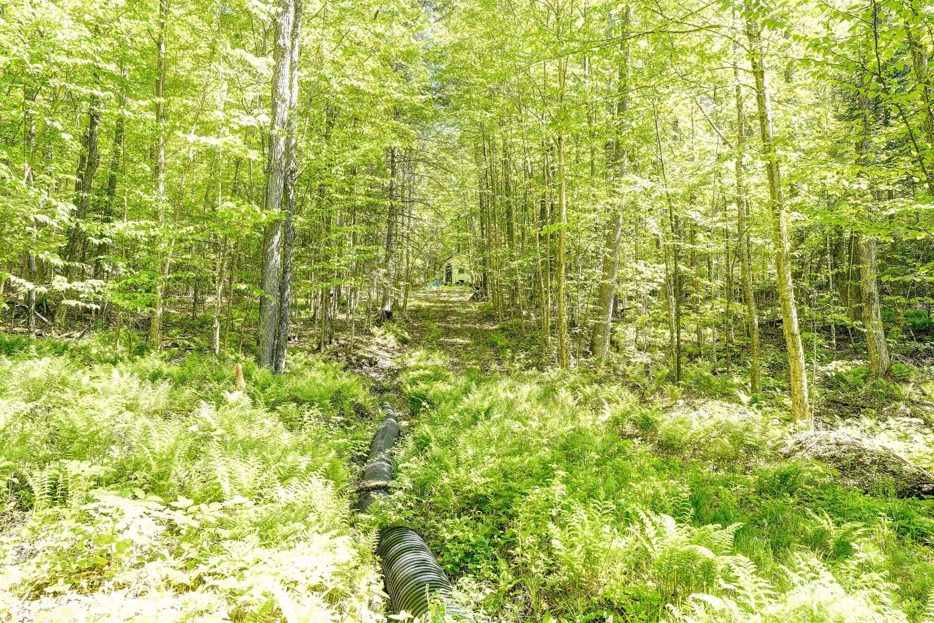 Terre/Terrain