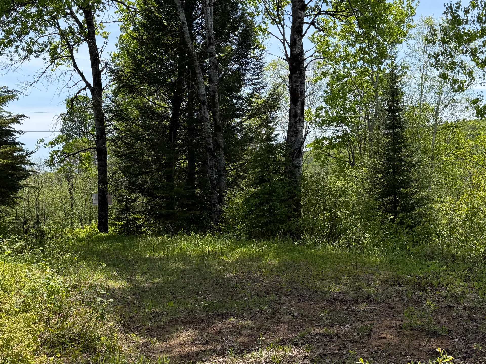Terre/Terrain