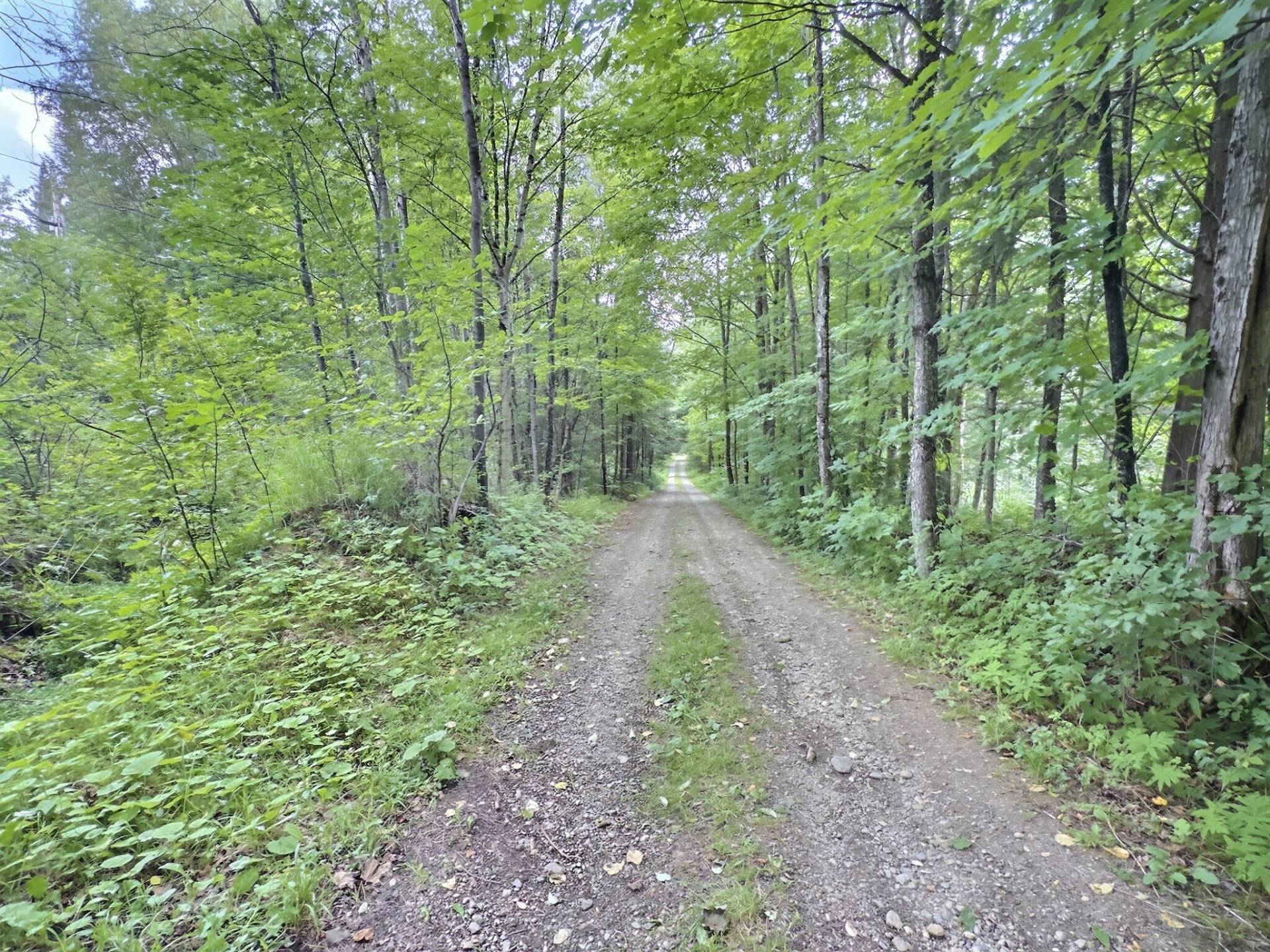 Chemin d'accès pour la rivière