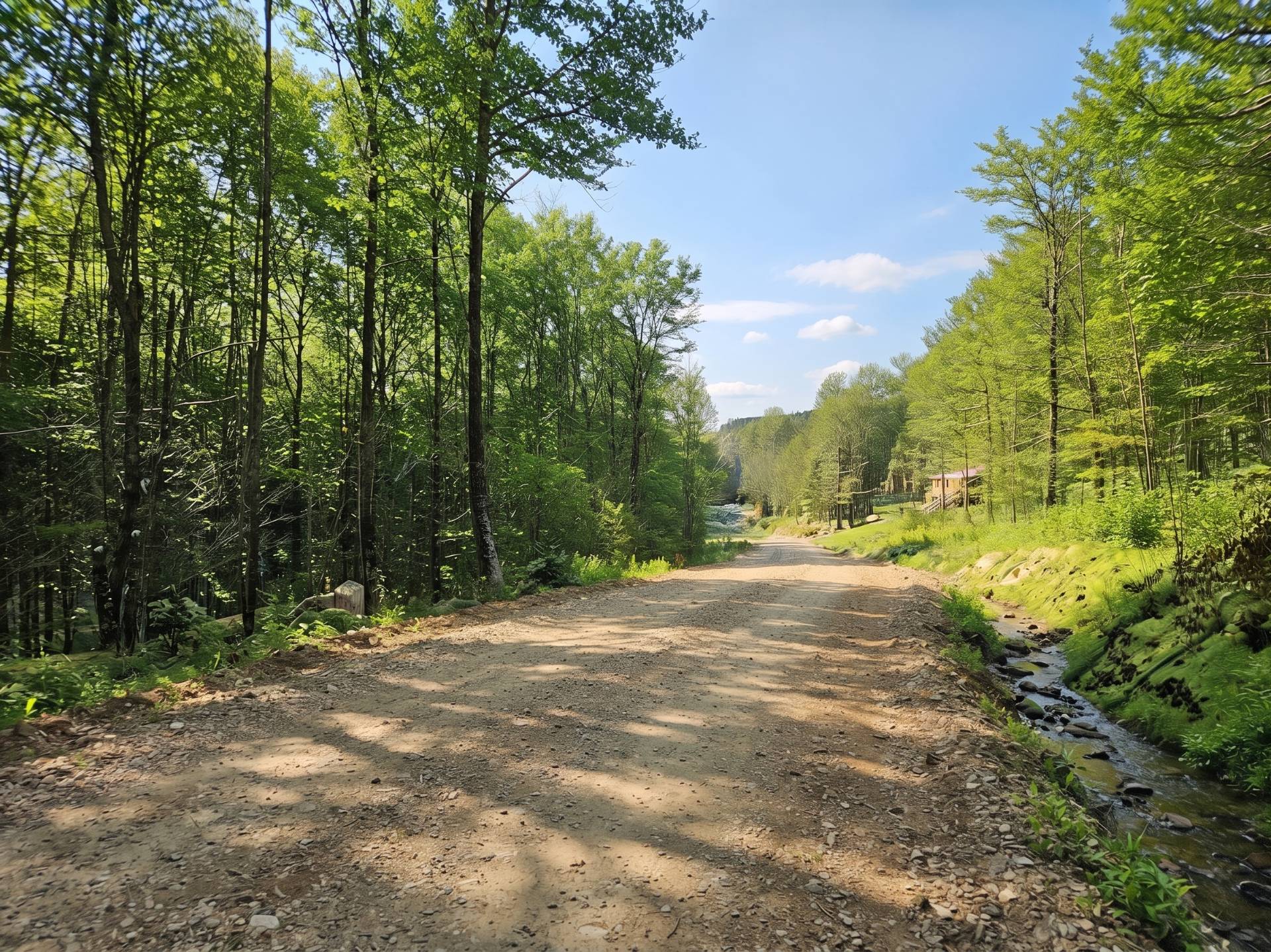 Land/Lot