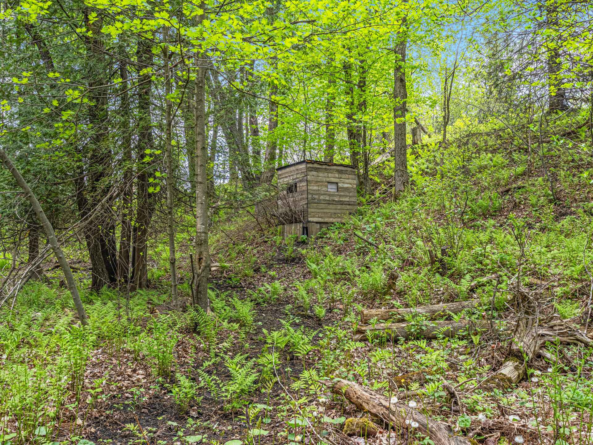 Terre/Terrain