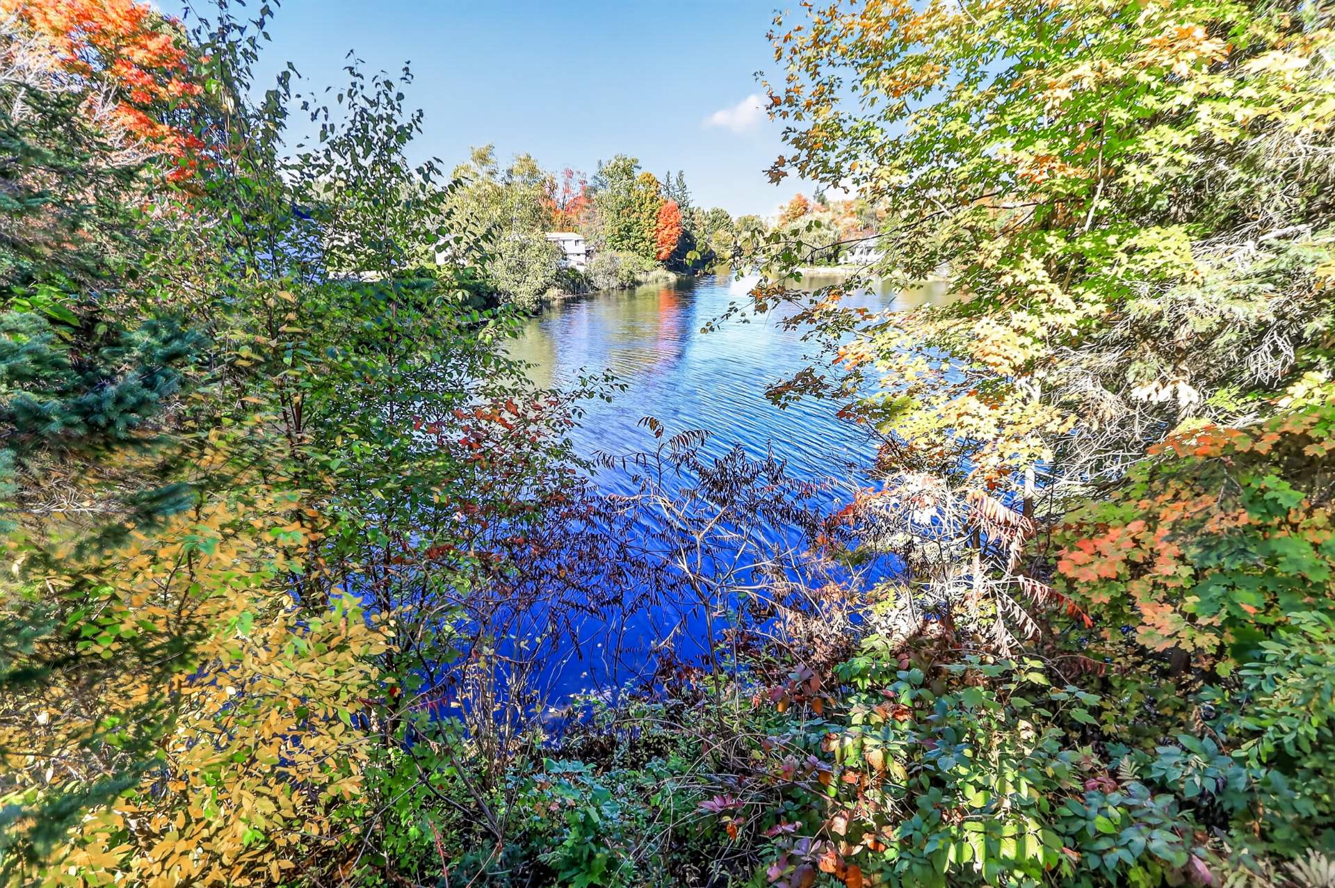 Vue sur l'eau