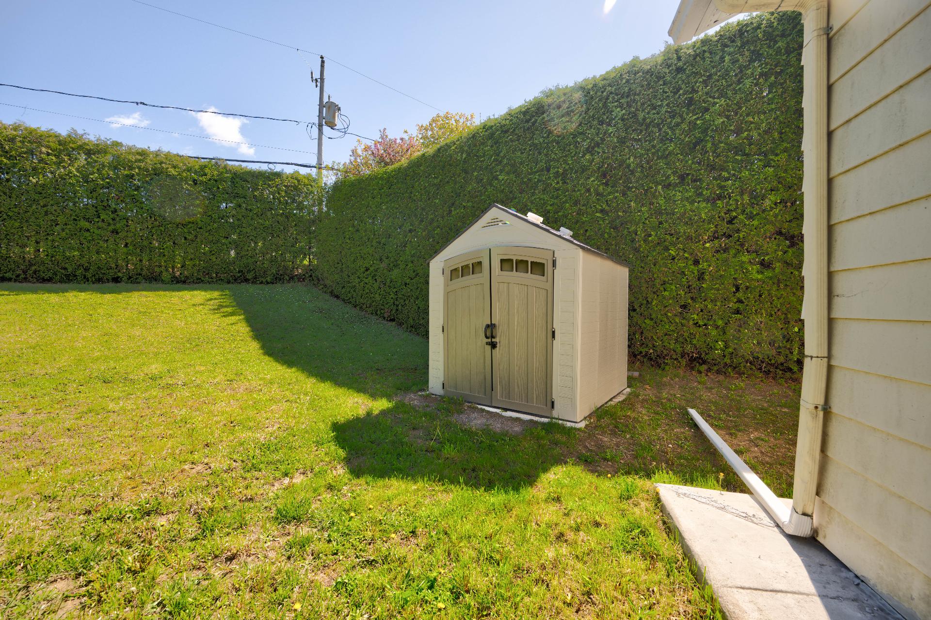 Backyard