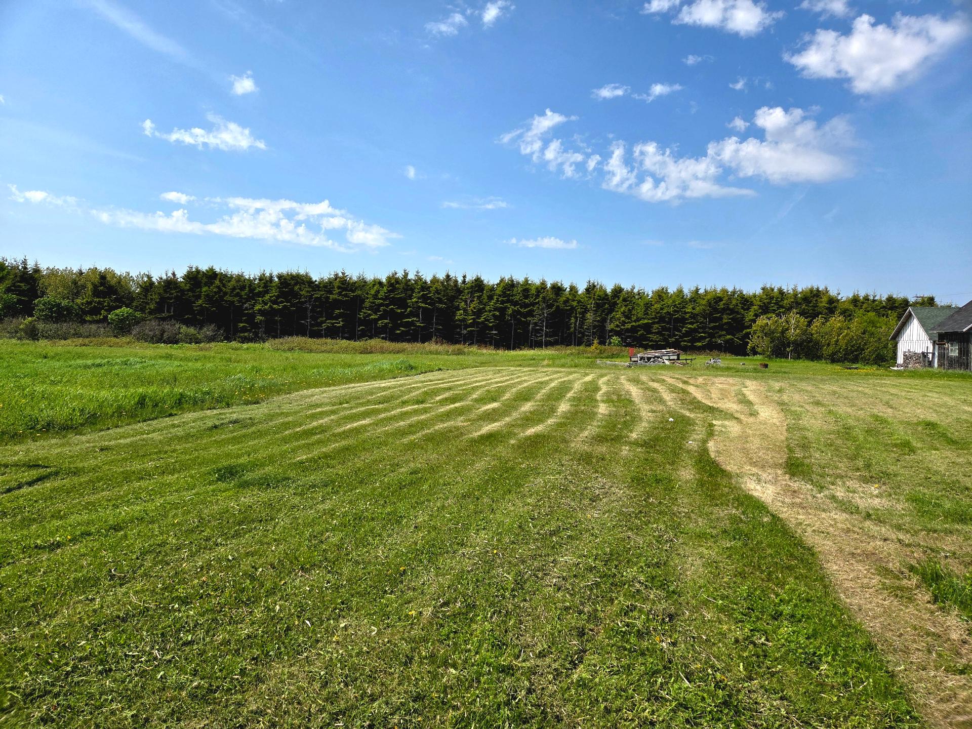 Land/Lot