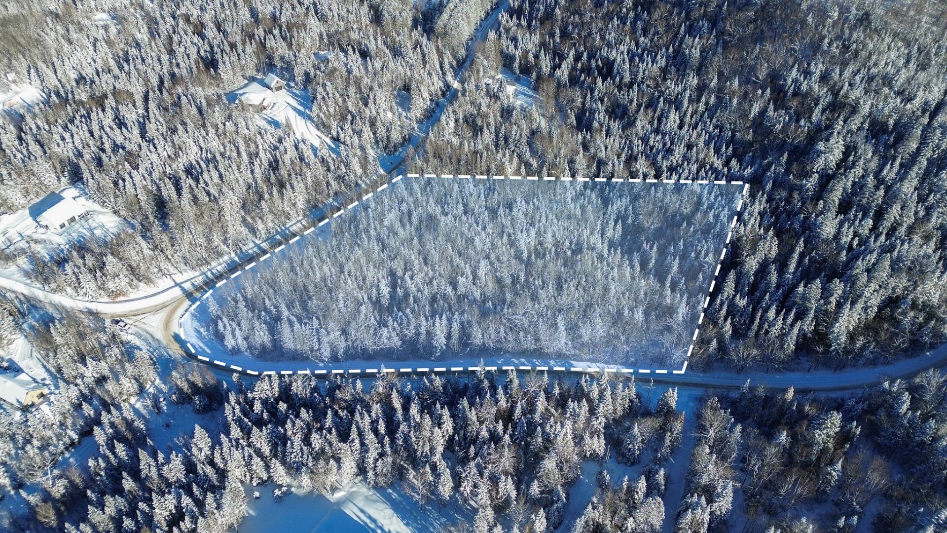 Overall View