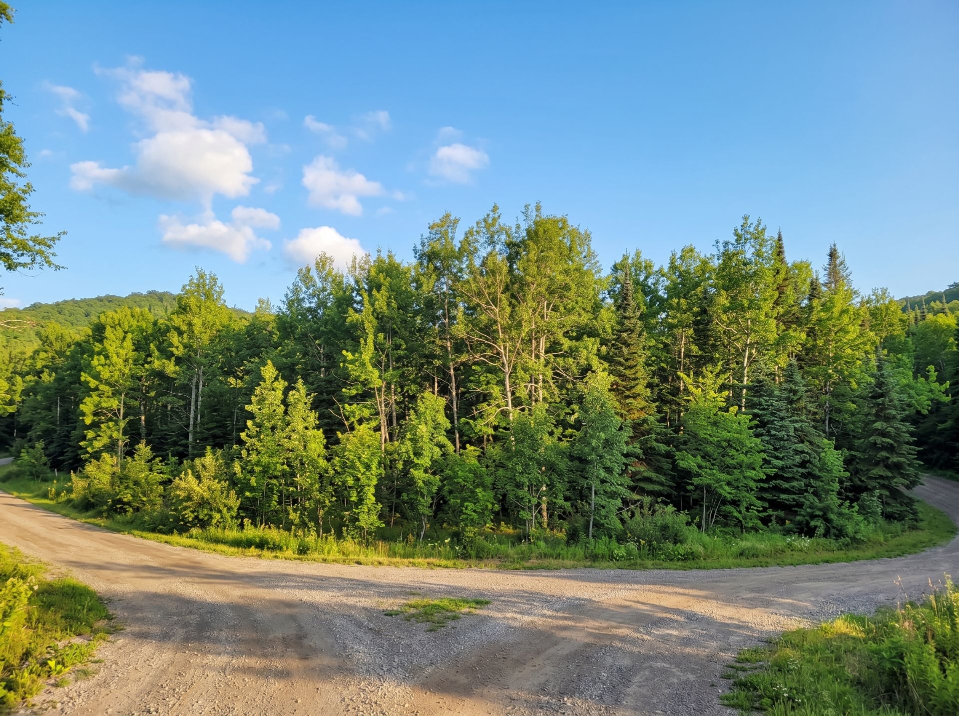 Land/Lot