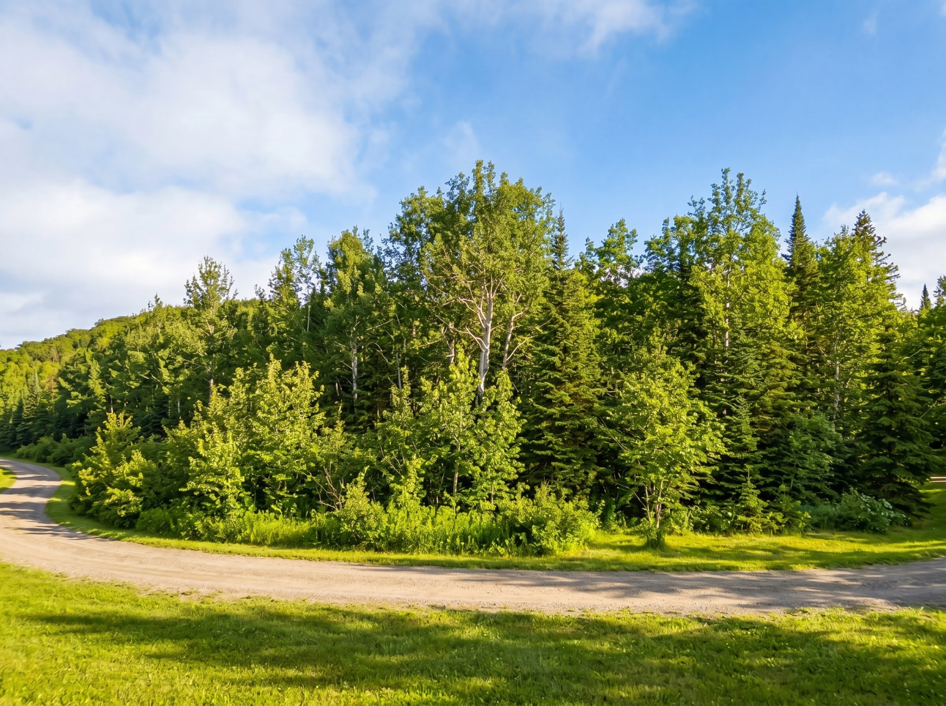 Land/Lot