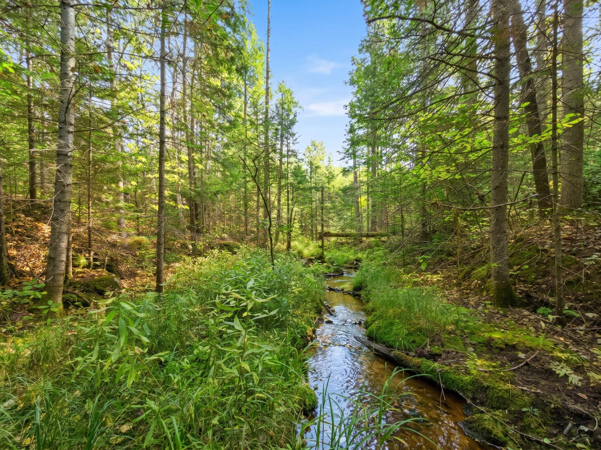Land/Lot