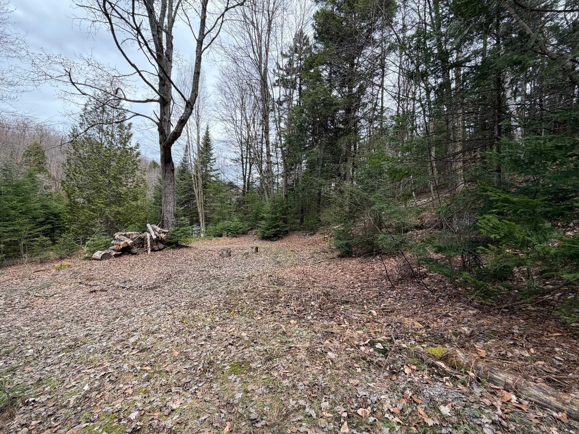 Land/Lot