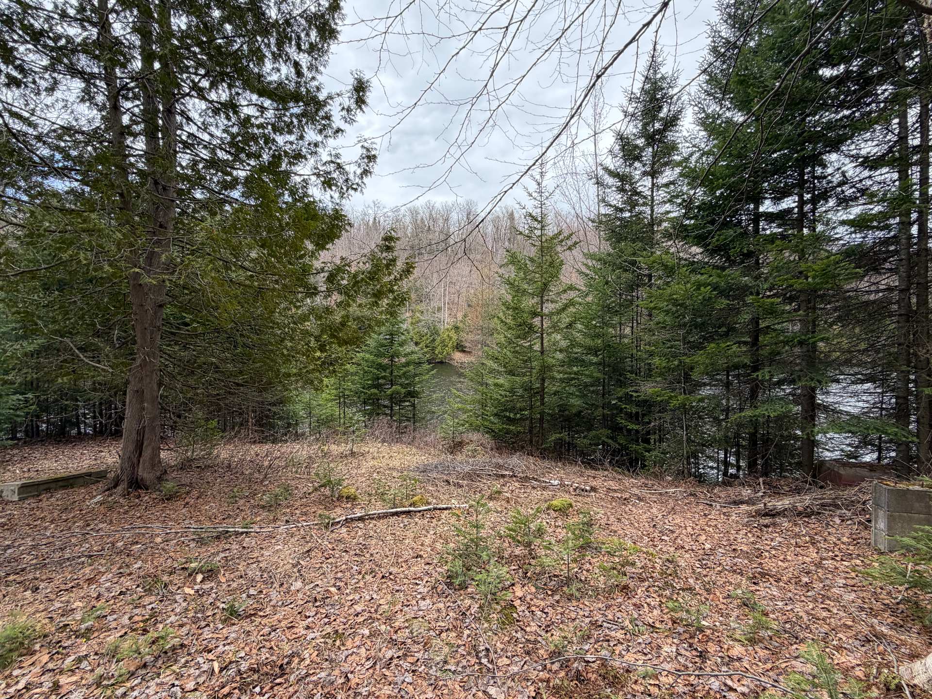 Land/Lot