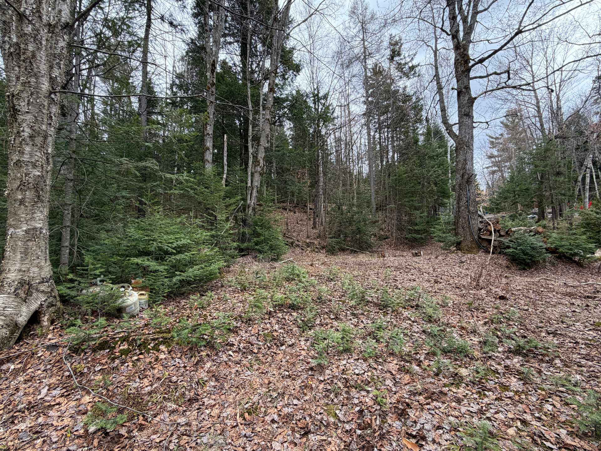 Land/Lot