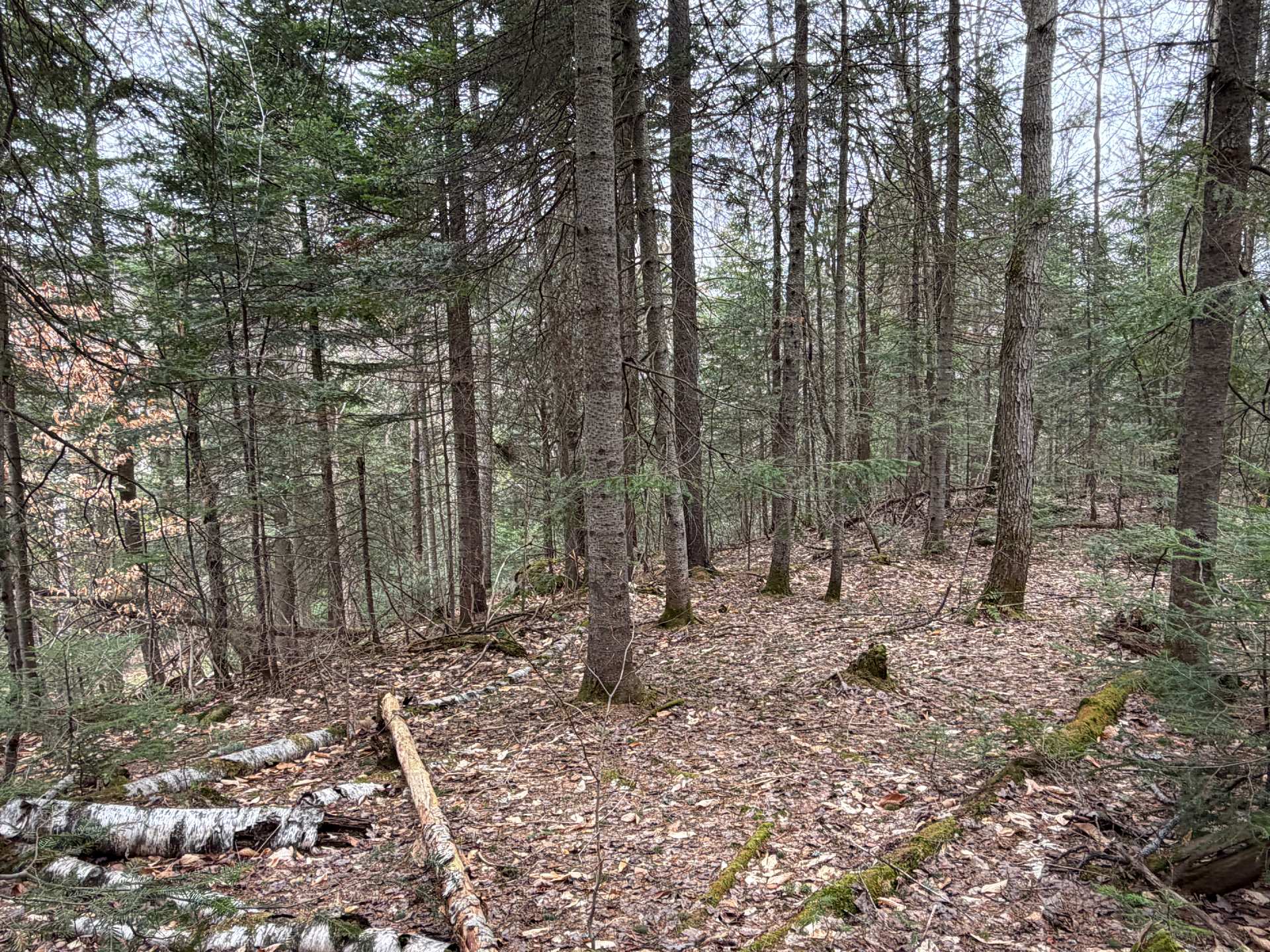 Terre/Terrain